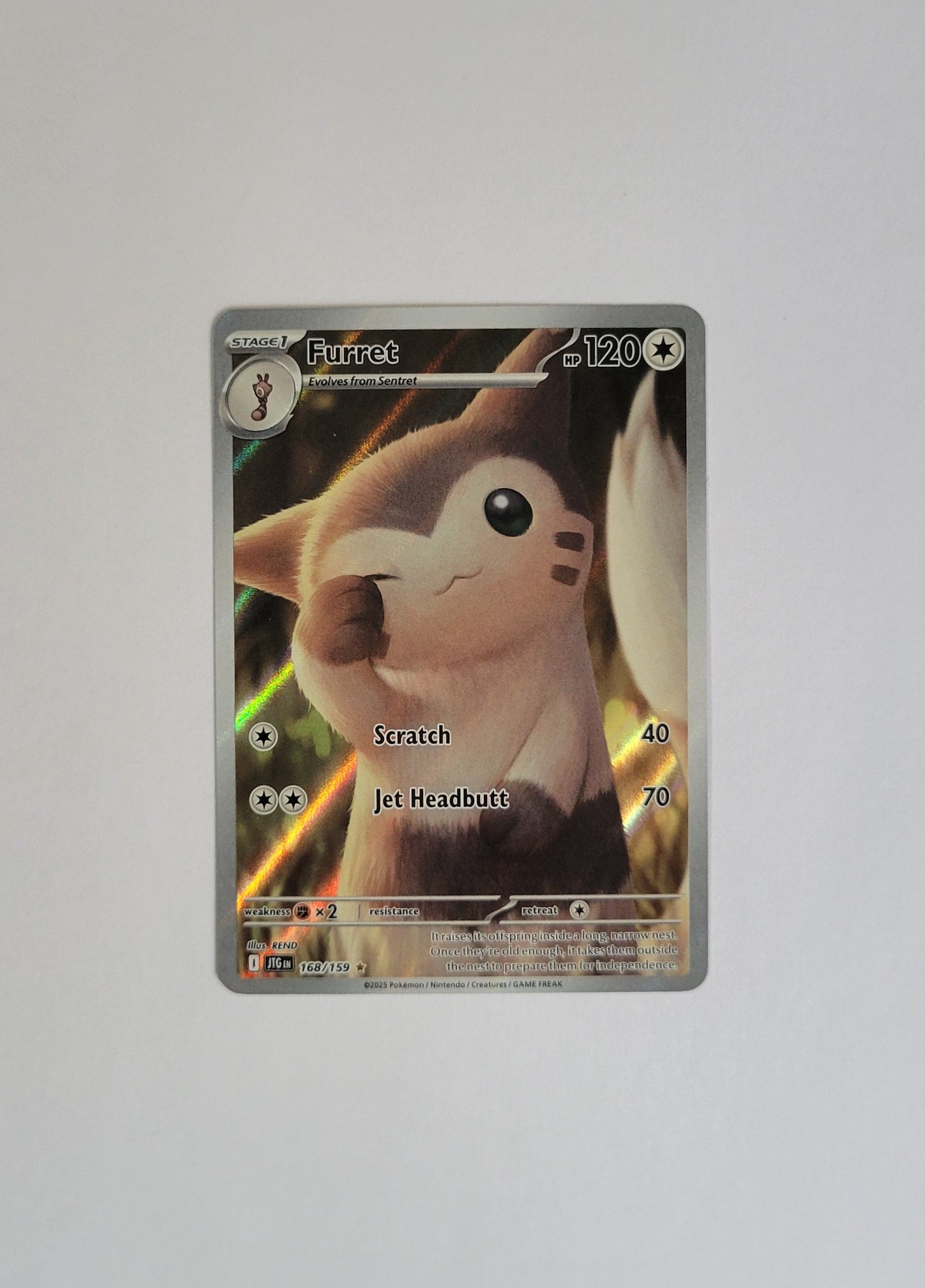 Furret 168/159 - Journey Together