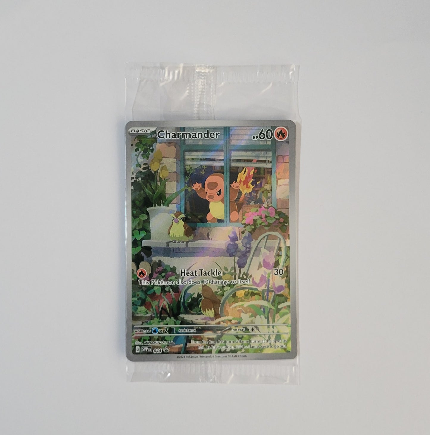 Charmander SVP044 (Sealed) - Black Star Promo