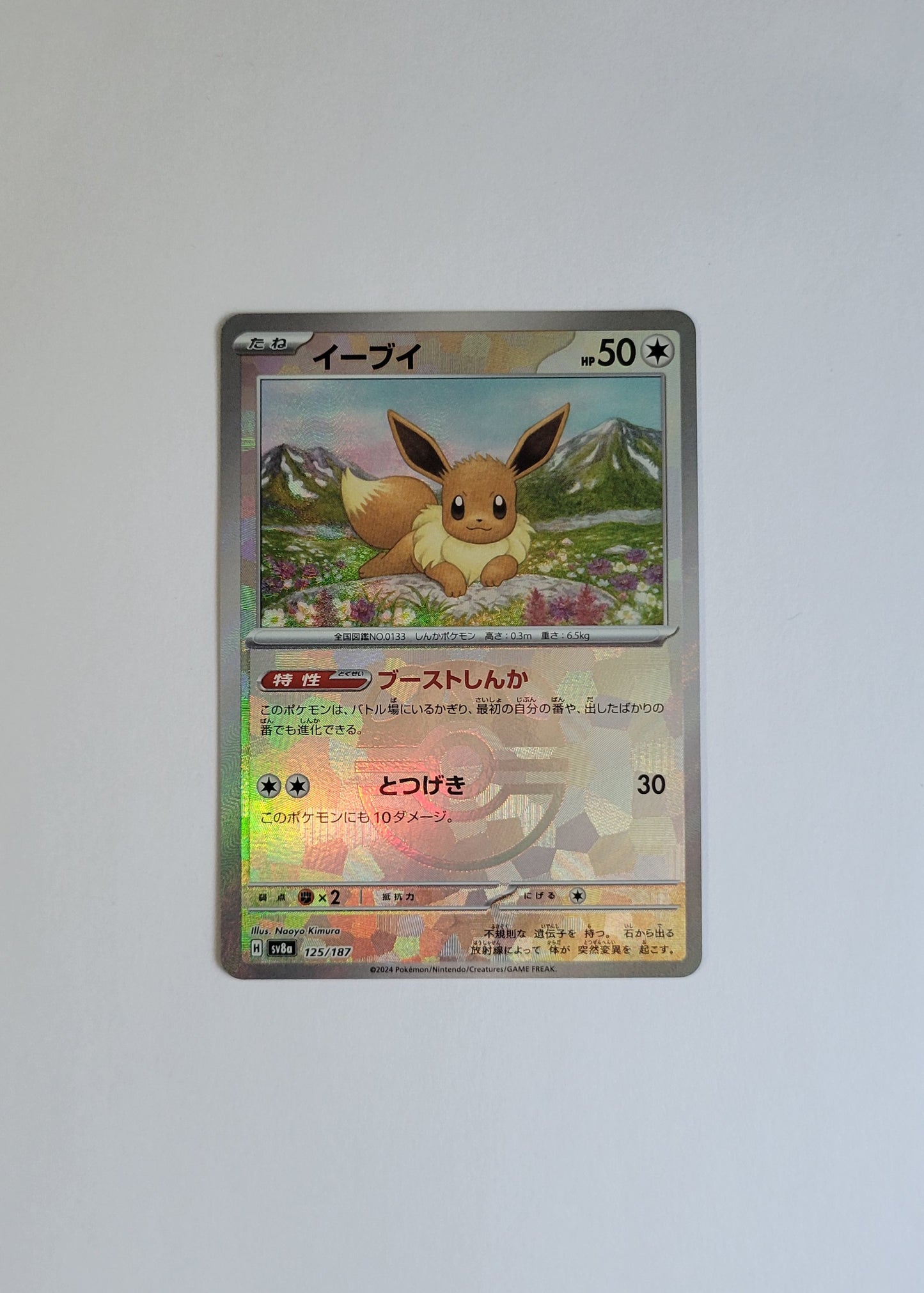 Eevee 125/187 (Master Ball) - Terastal Festival ex (Japanese)