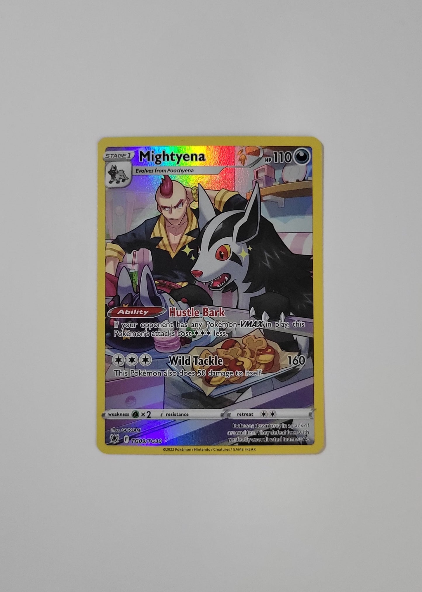 Mightyena TG09/TG30 - Astral Radiance: Trainer Gallery