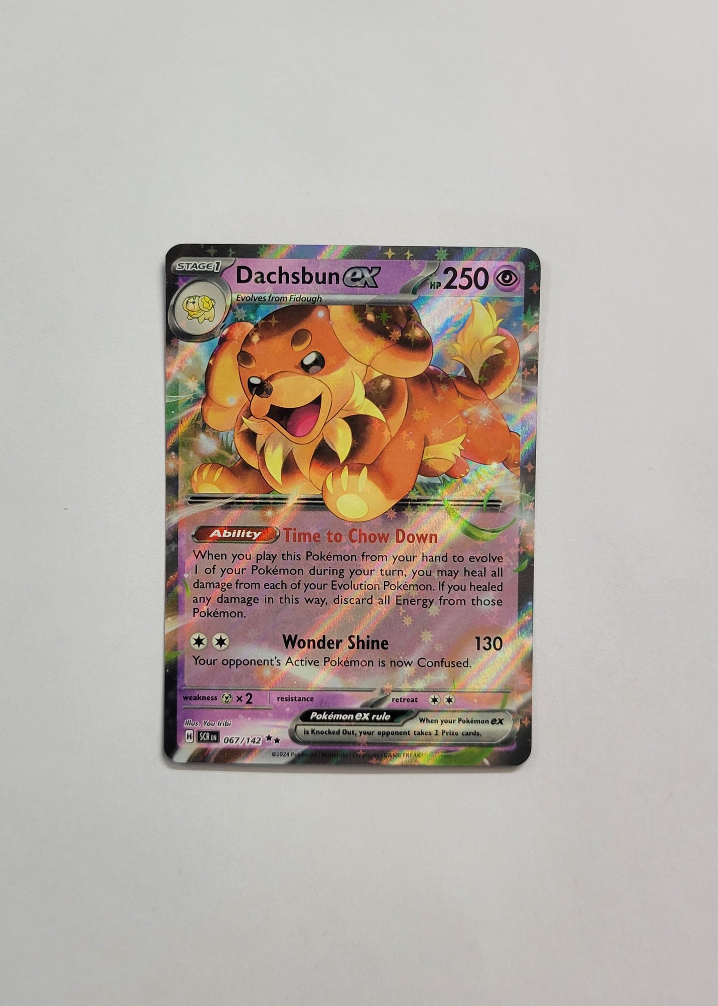 Dachsbun ex 067/142 - Stellar Crown