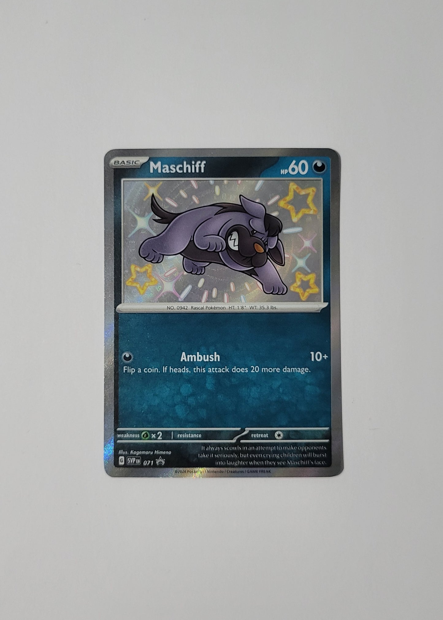 Maschiff SVP071 - Black Star Promo