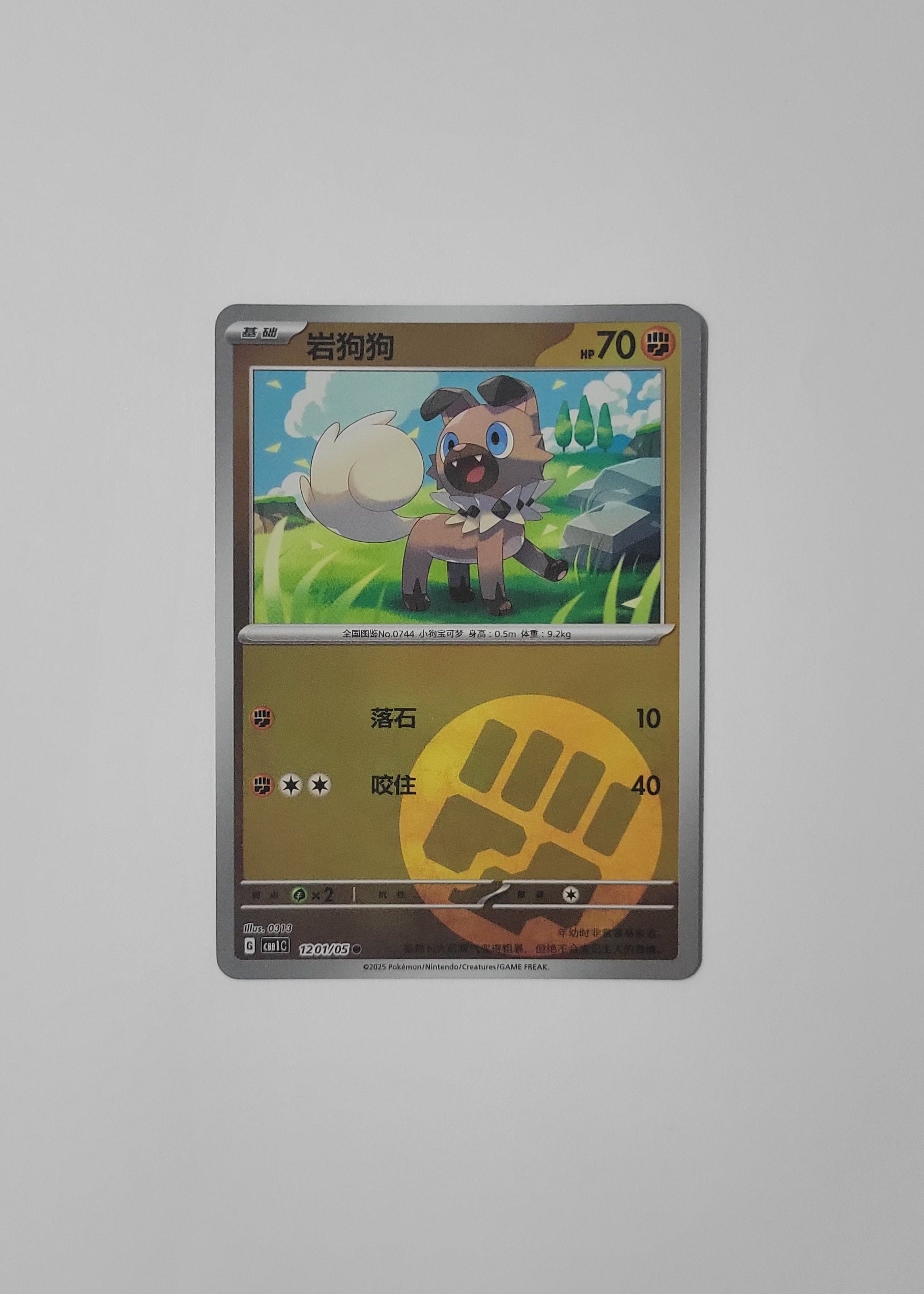 pokemon rockruff card Cards Fighting Fighting Custom, Holographic, Glossy, Pocket TCG