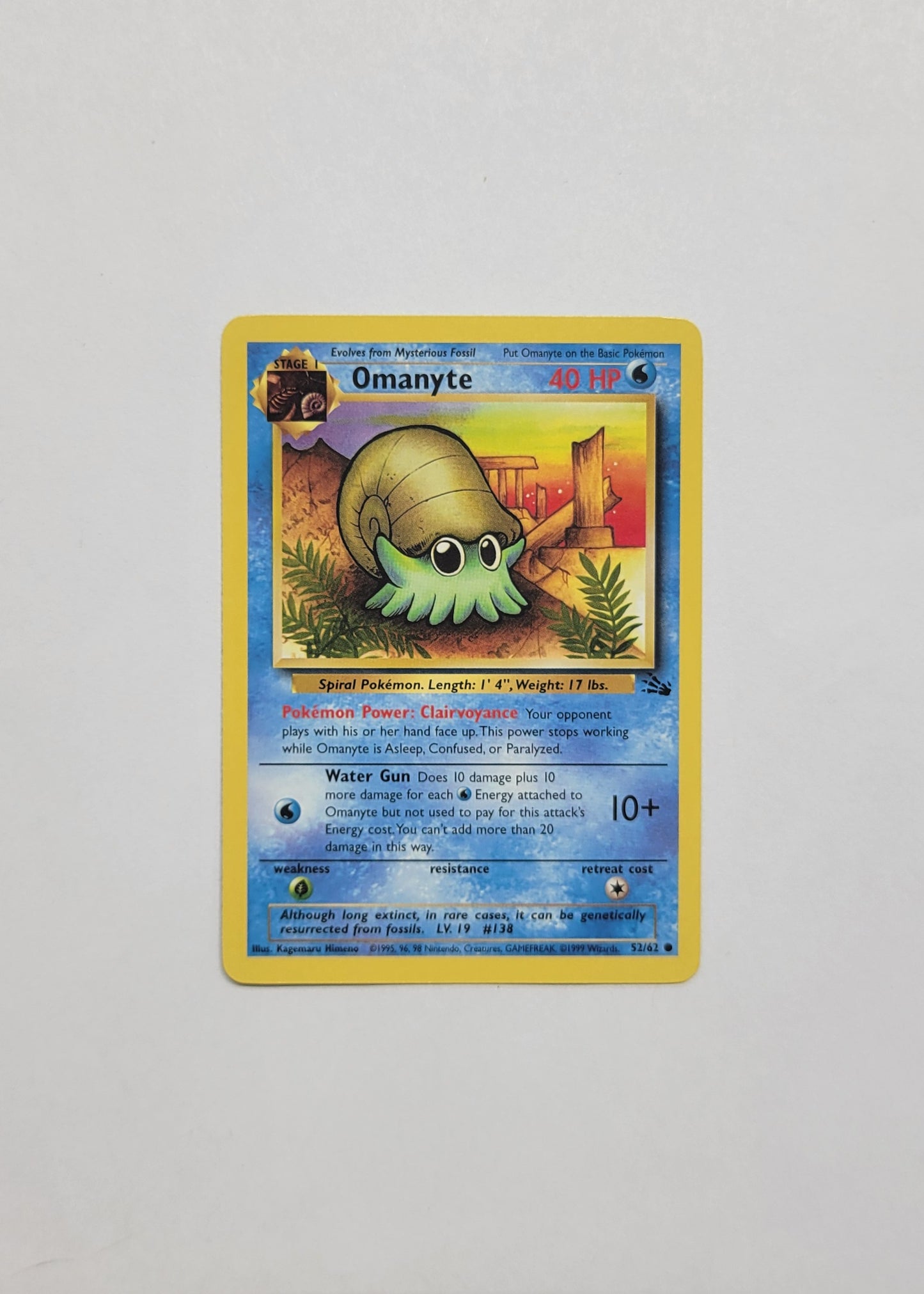 Omanyte 52/62 - Fossil