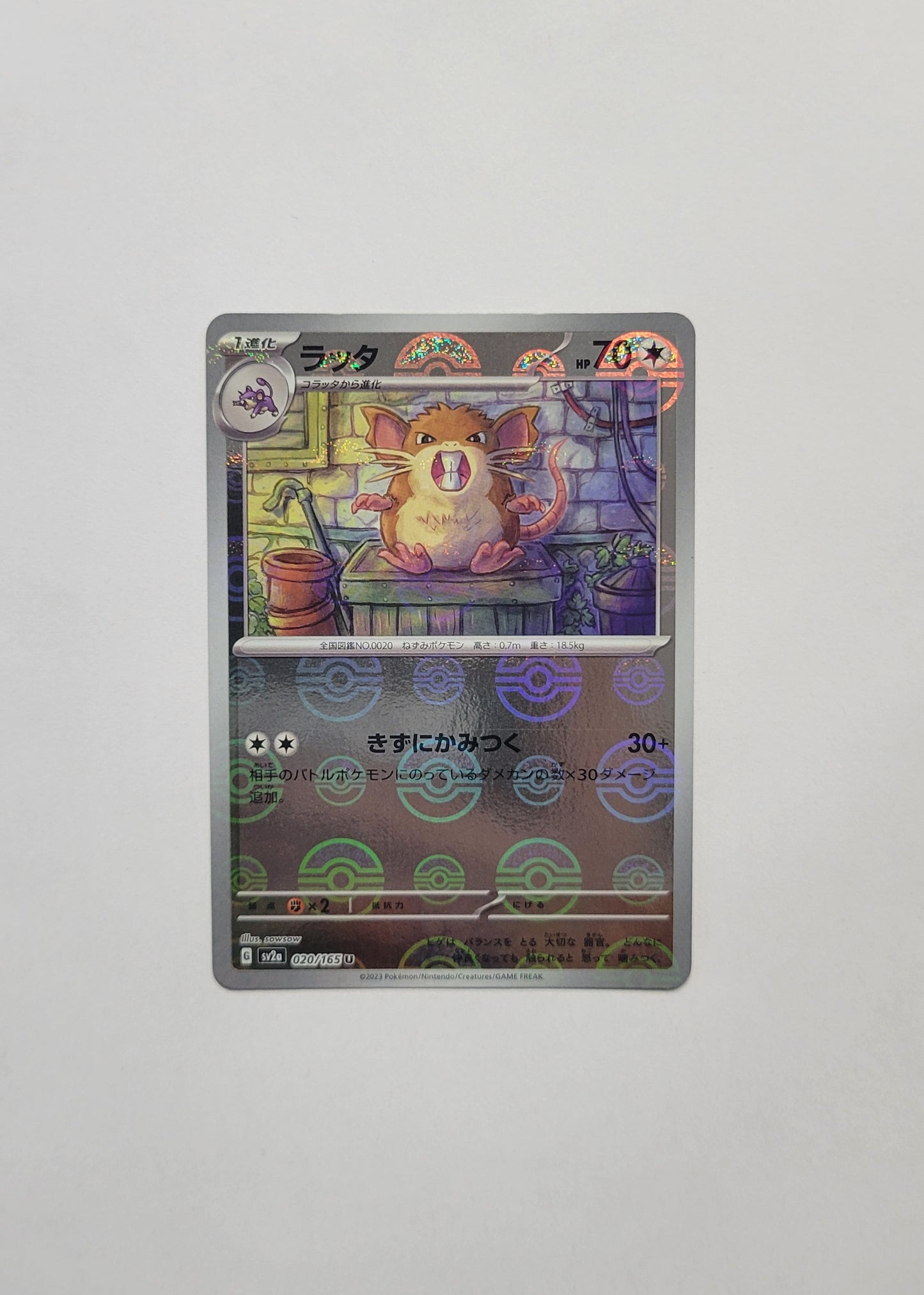 Raticate 020/165 (Poké Ball) - 151 (Japanese)