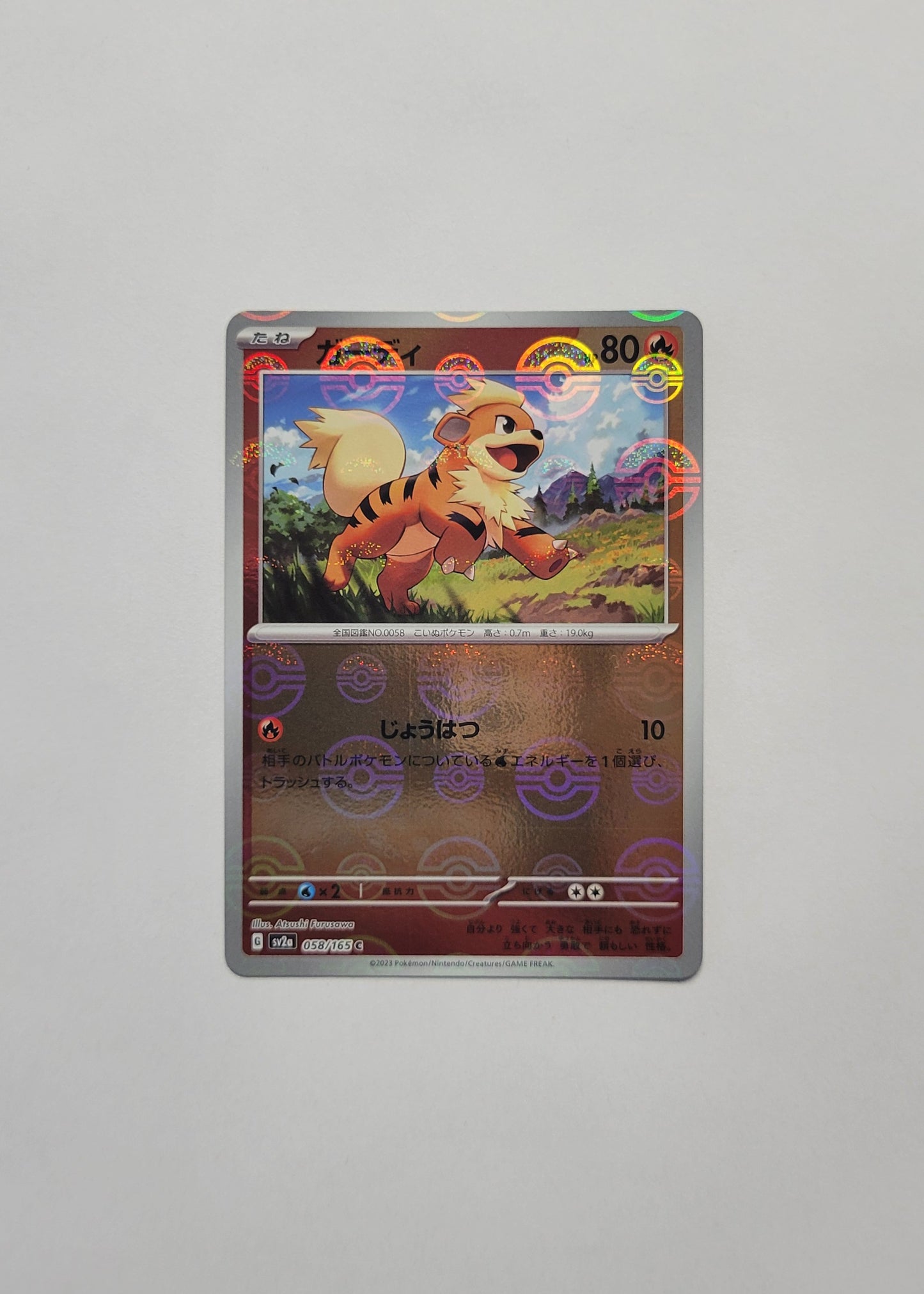 Growlithe 058/165 (Poké Ball) - 151 (Japanese)