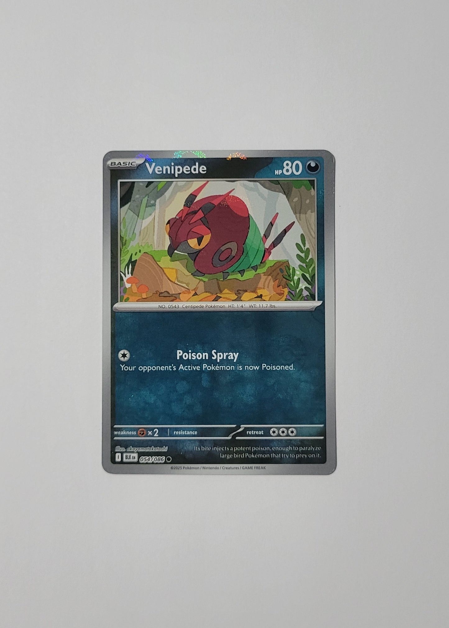 Venipede 054/086 (Poké Ball) - Black Bolt