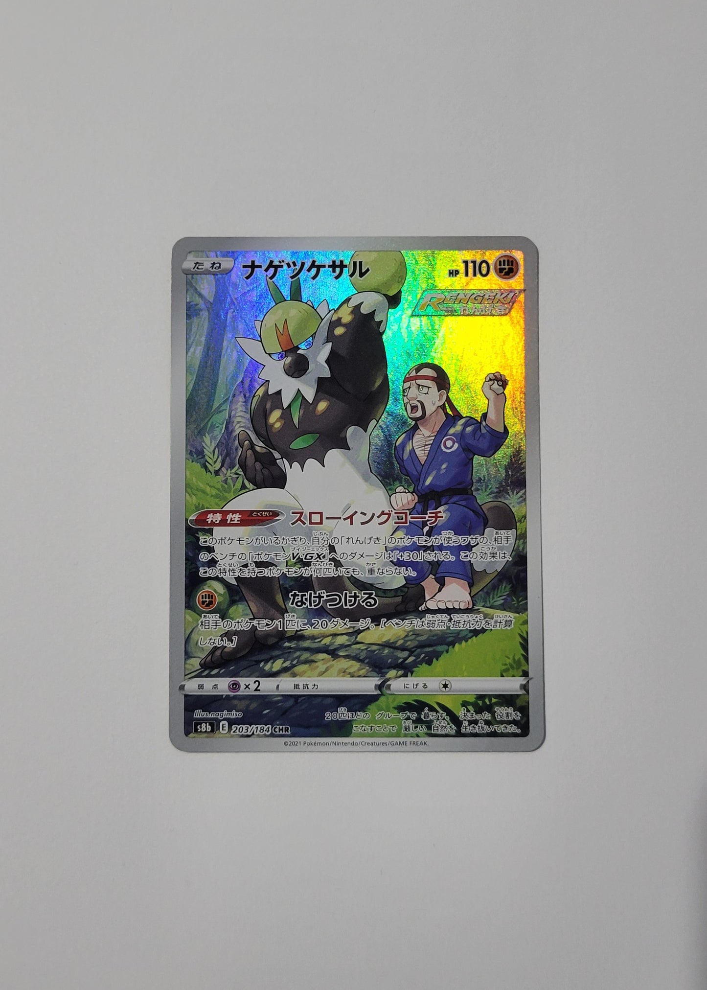 Passimian 203/184 - VMAX Climax (Japanese)