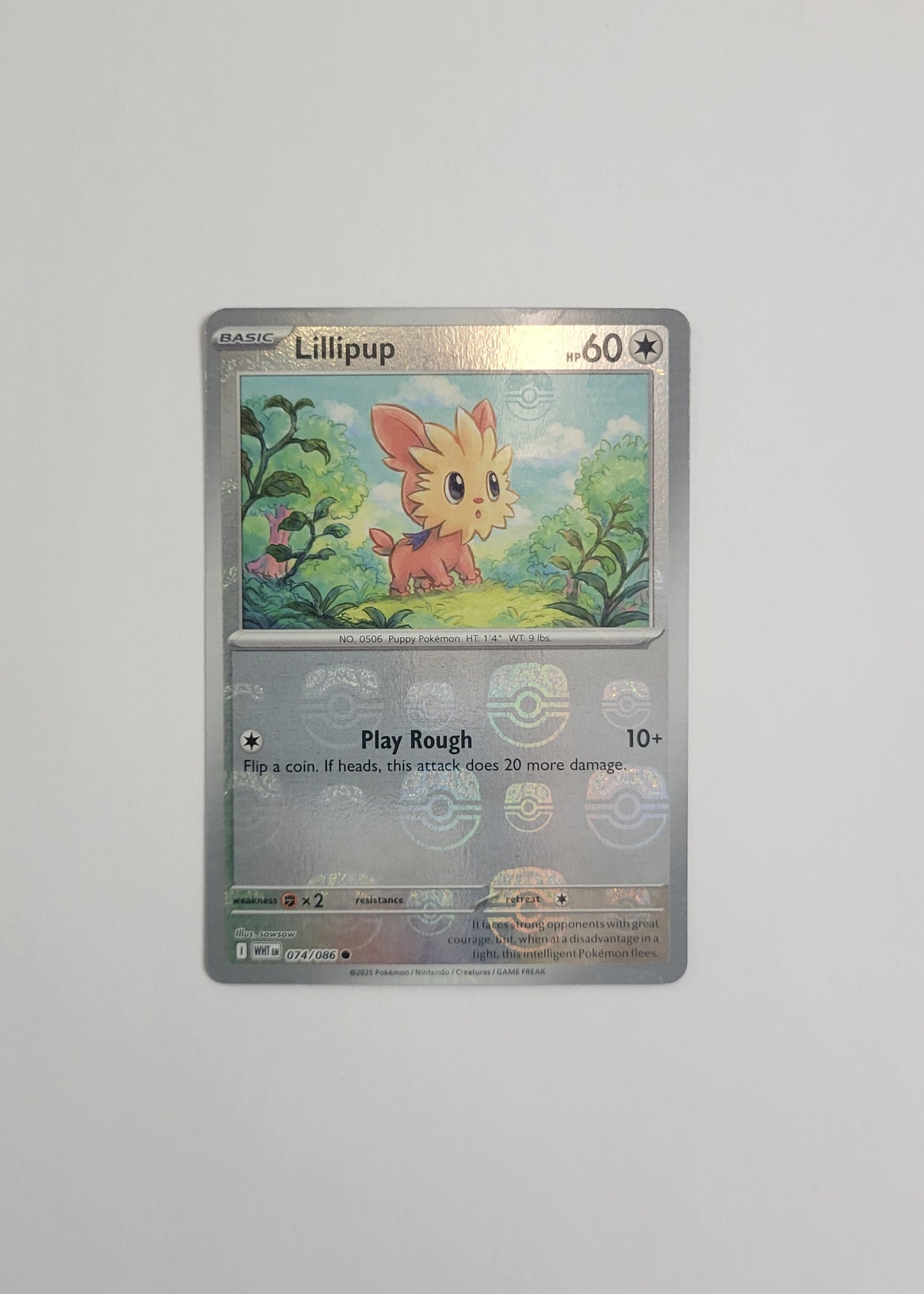 Lillipup 074/086 (Master Ball) - White Flare