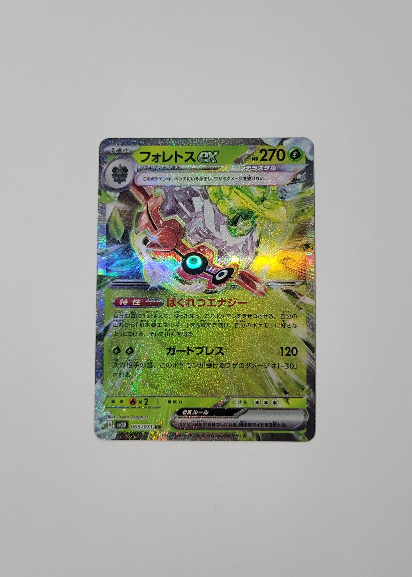 Forretress ex 005/071 - Clay Burst (Japanese)