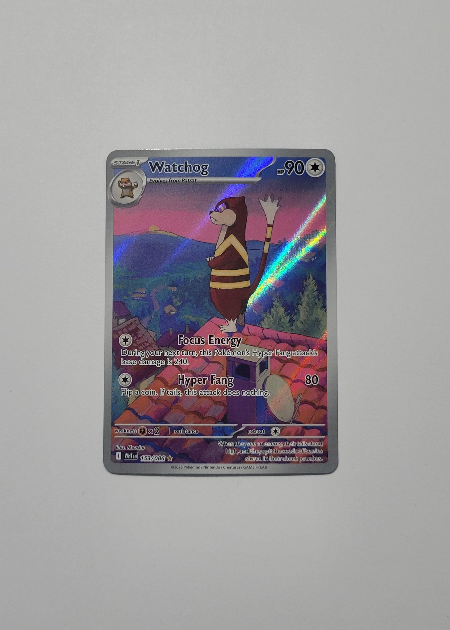 Watchog 153/086 - White Flare