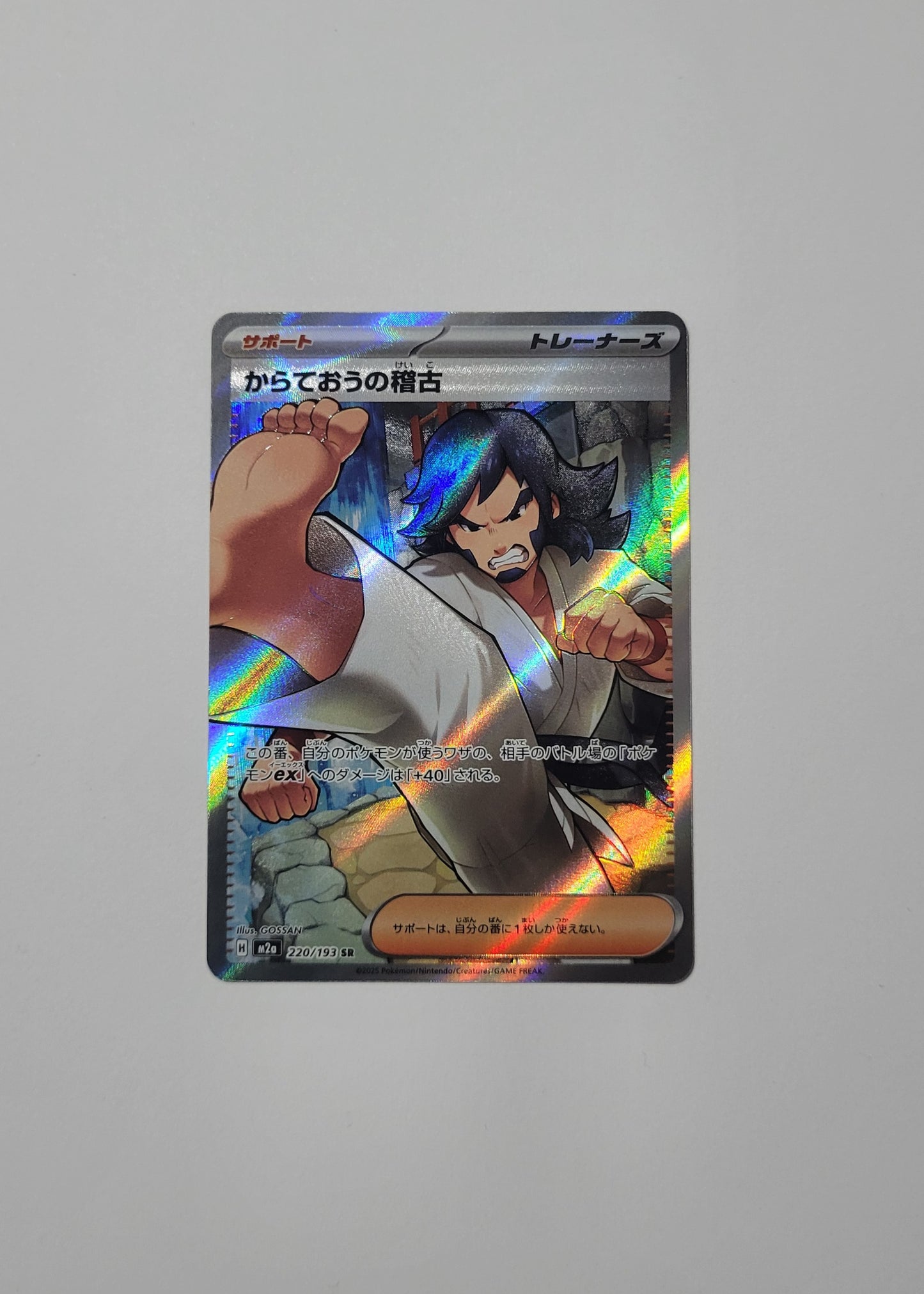 Black Belt's Training 220/193 - Mega Dream ex (Japanese)