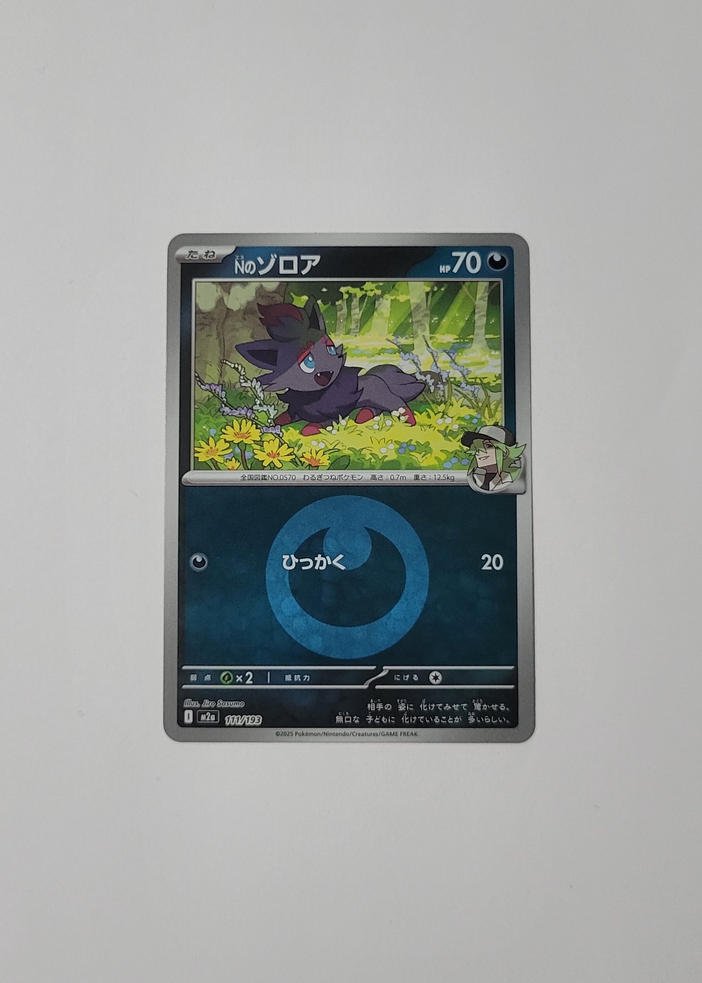 N's Zorua 111/193 (Energy Pattern) - Mega Dream ex (Japanese)