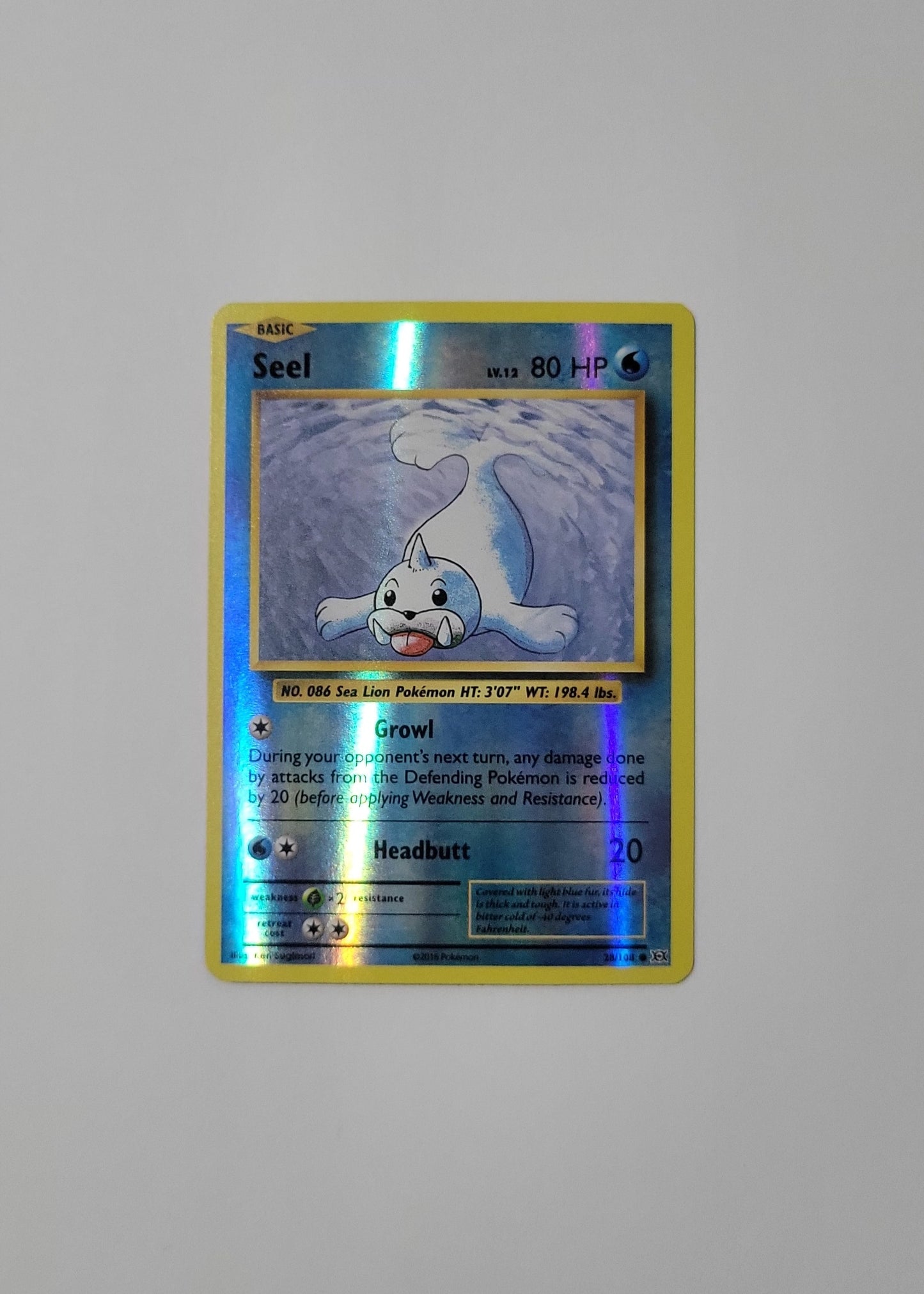 Seel 28/108 (Reverse Holo) - Evolutions