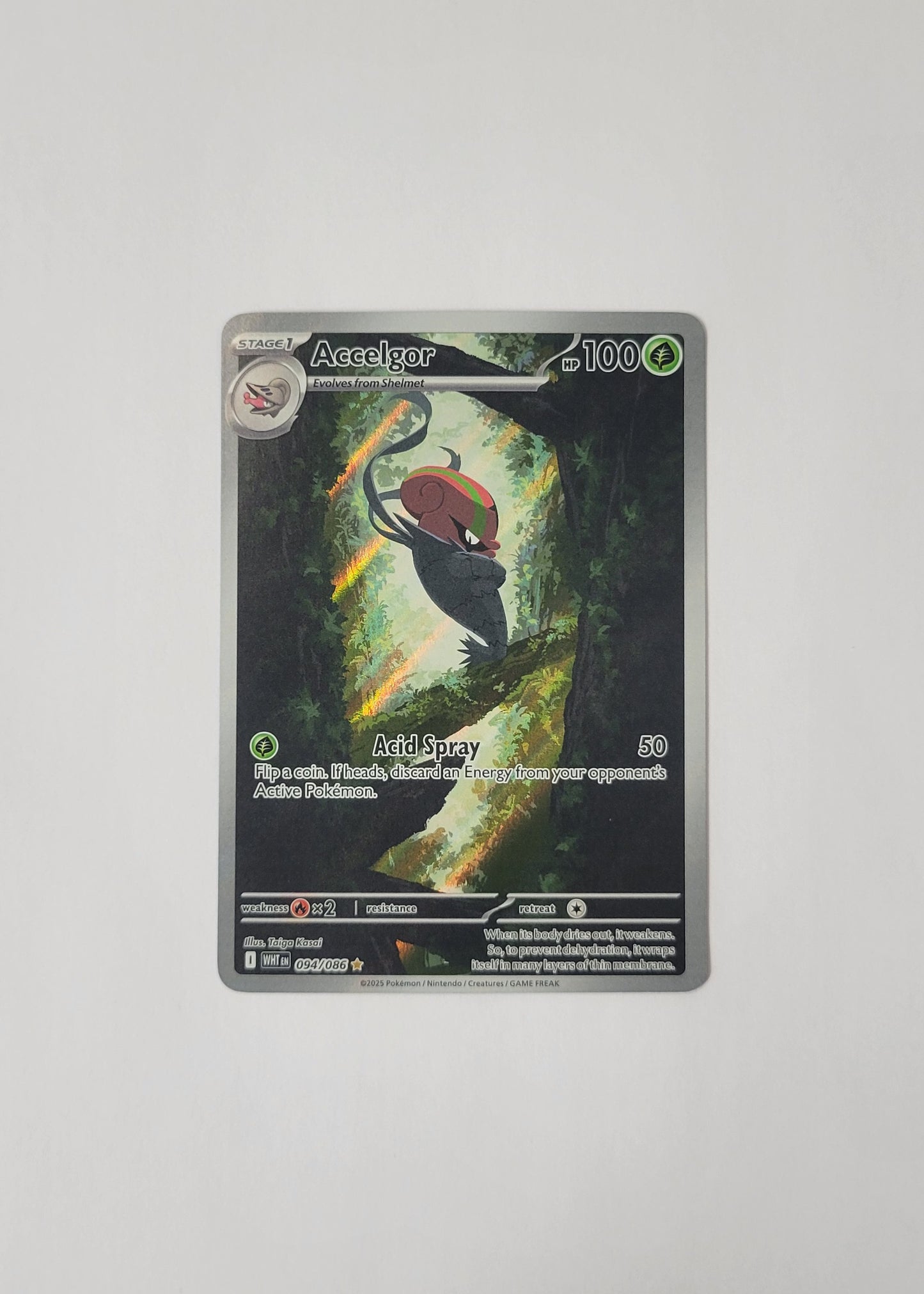 Accelgor 094/086 - White Flare