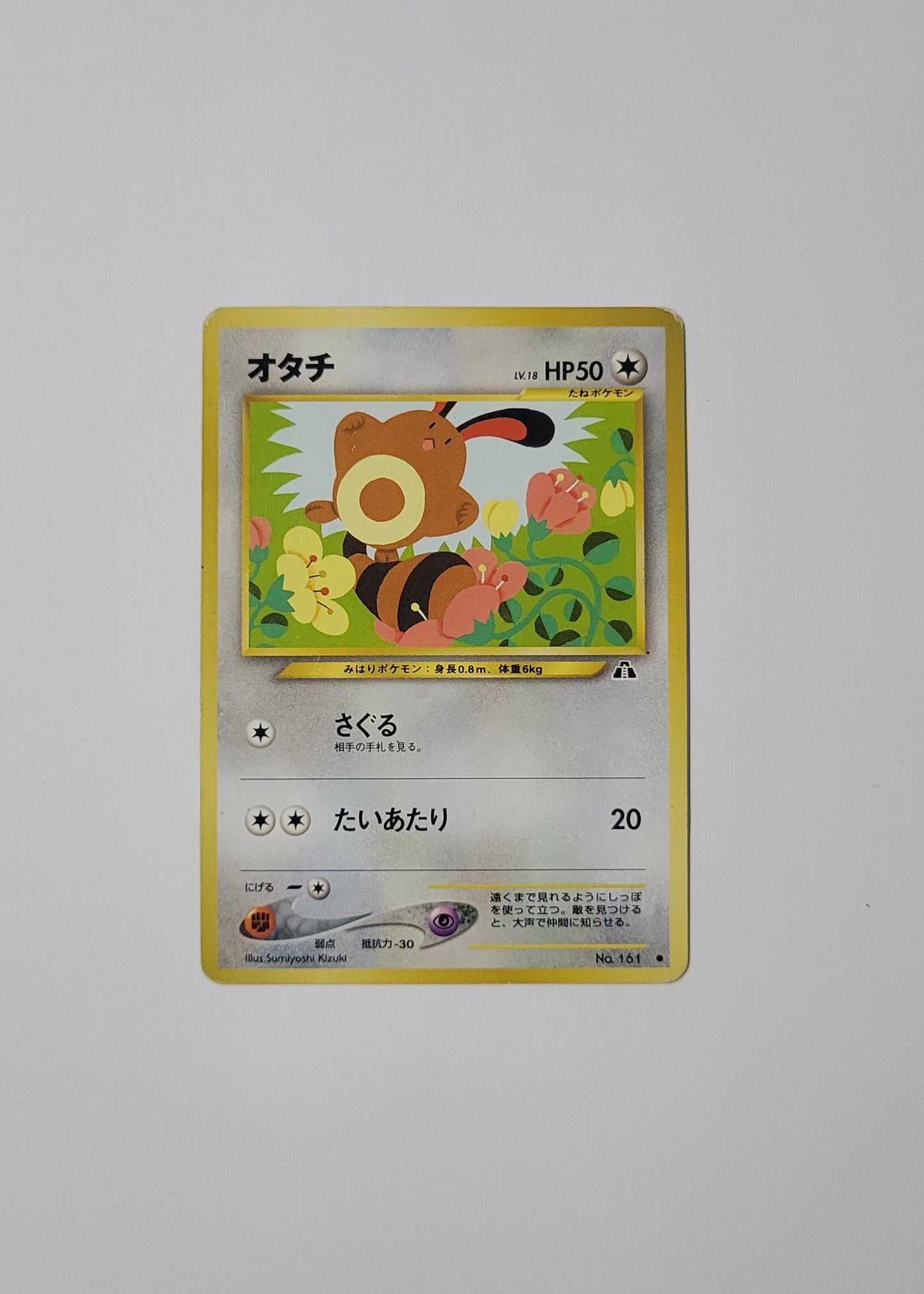 Sentret No. 161 - Crossing the Ruins (Japanese)