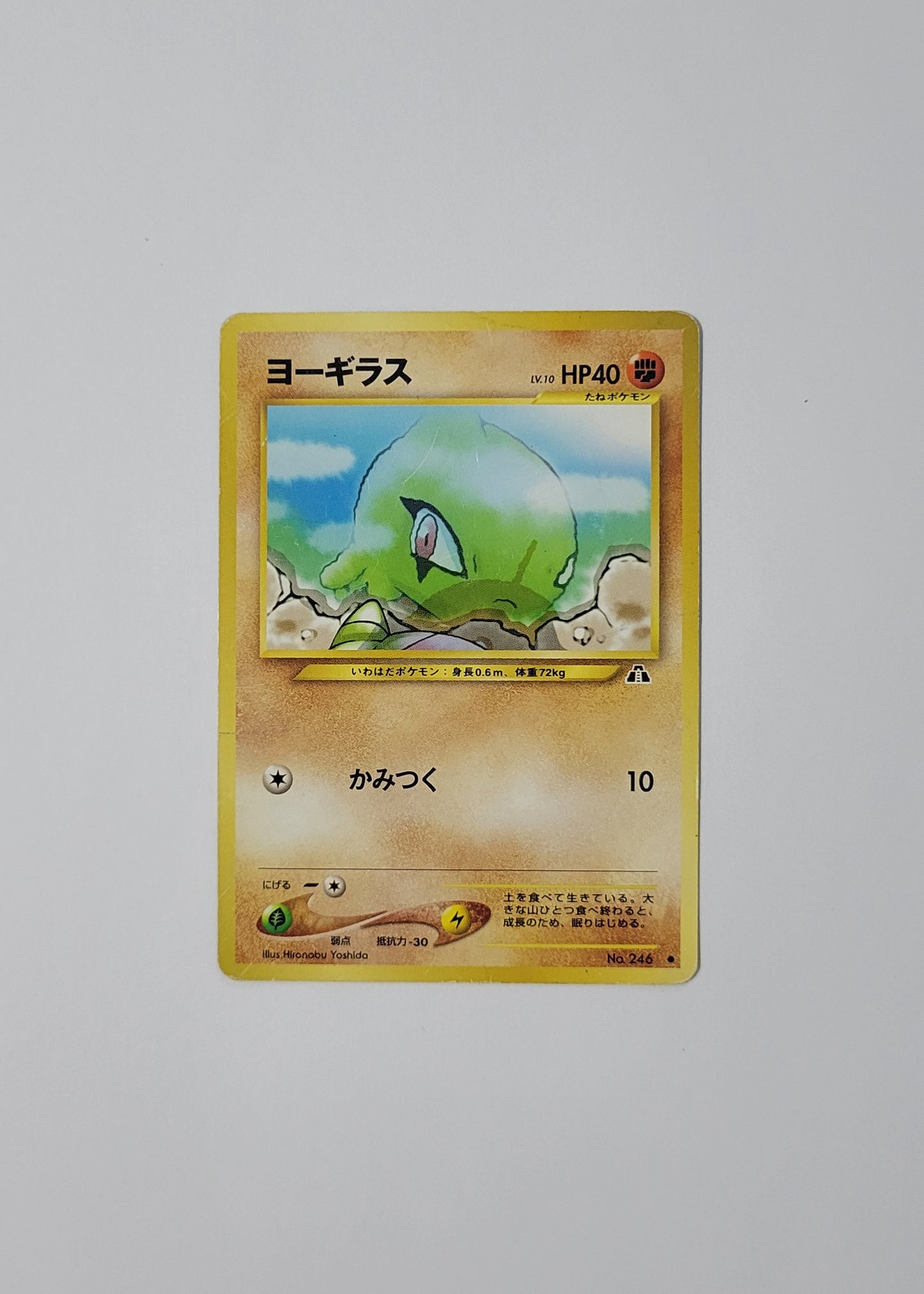 Larvitar No. 246 - Crossing the Ruins (Japanese)