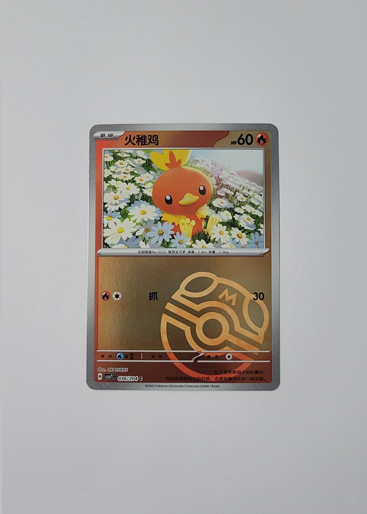 Torchic 036/204 (Master Ball) - Blade Awakening (S-Chinese)