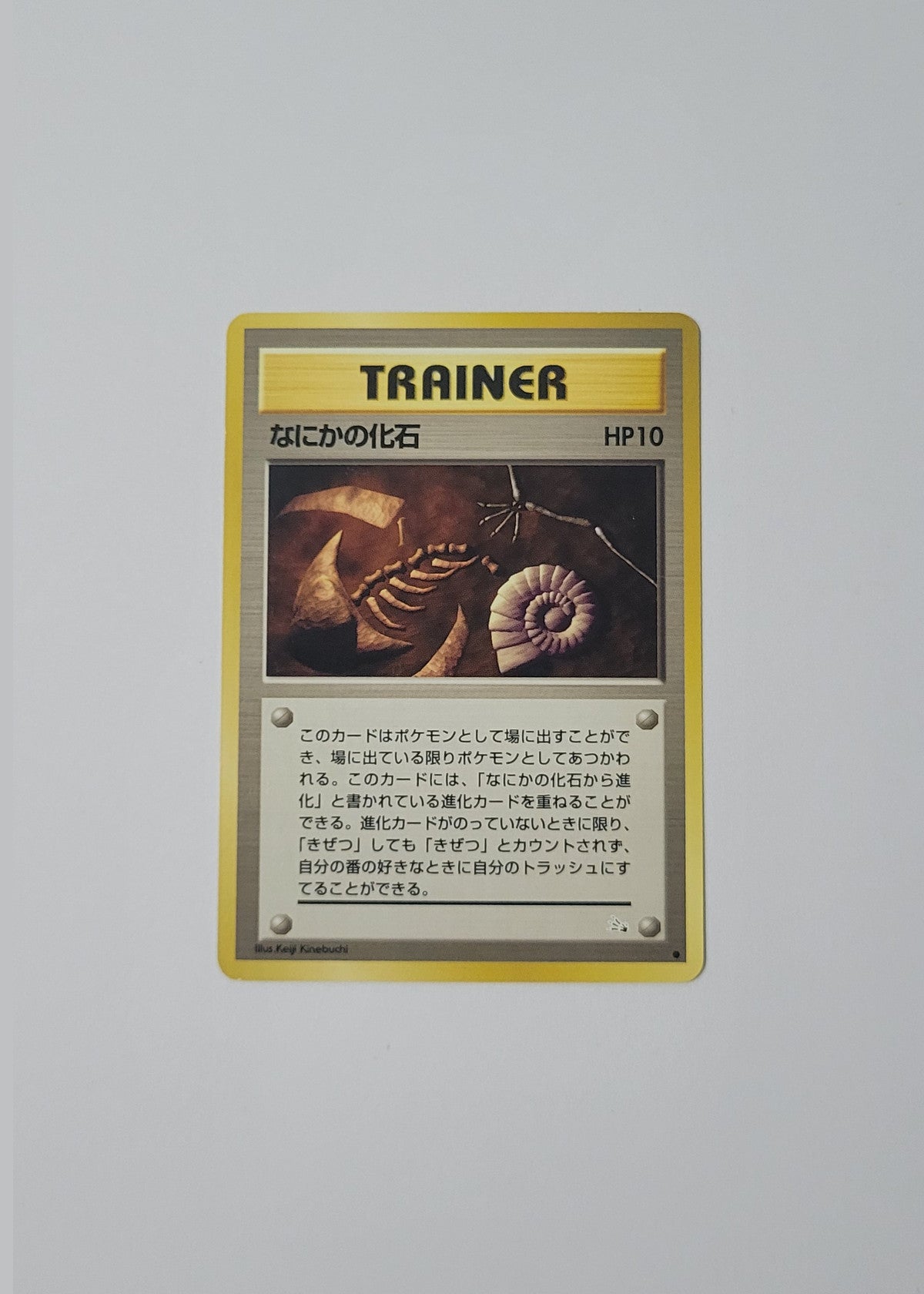 Mysterious Fossil - Fossil (Japanese)