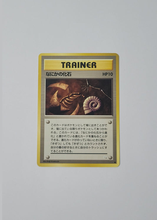 Mysterious Fossil - Fossil (Japanese)