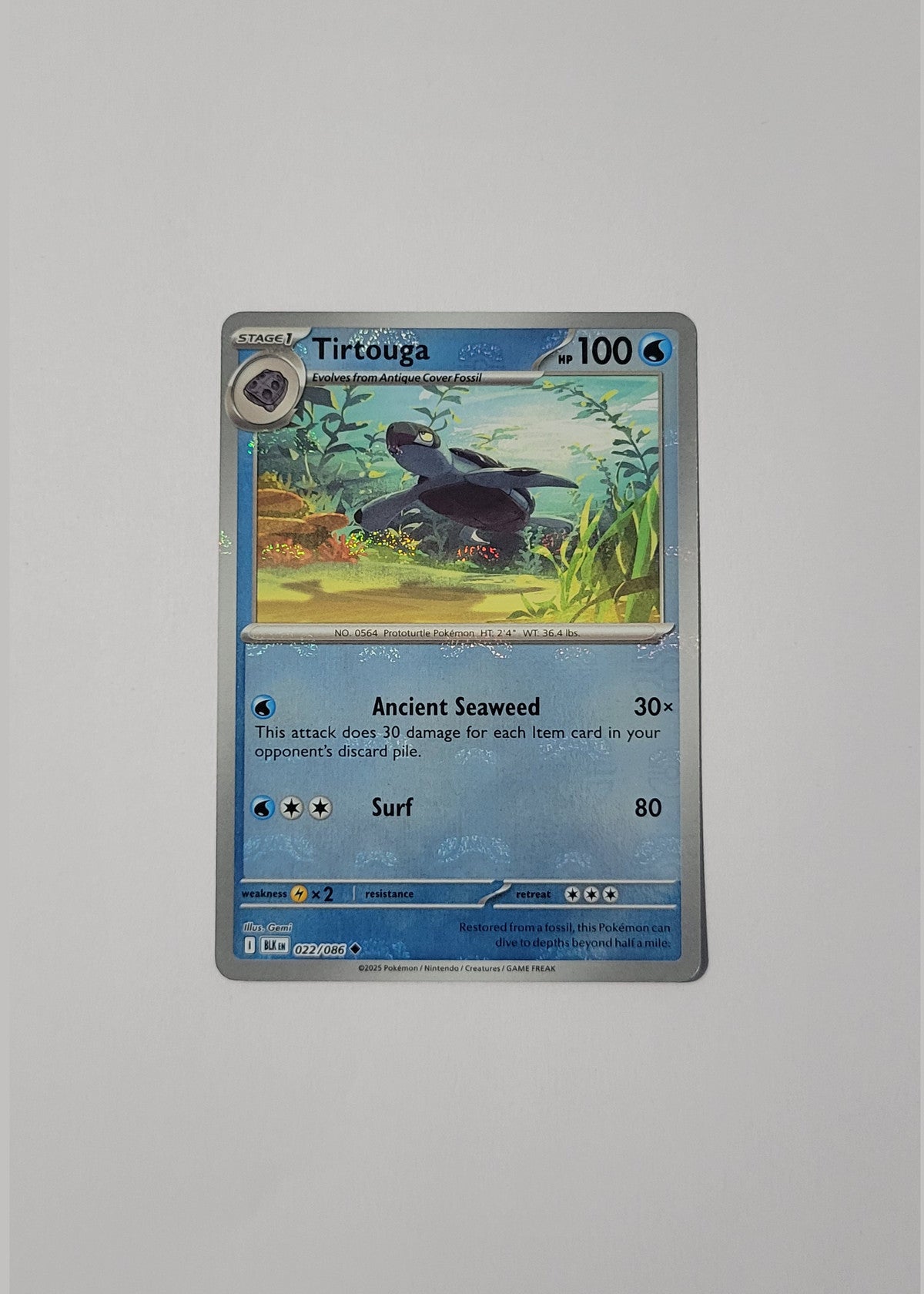 Tirtouga 022/086 (Master Ball) - Black Bolt