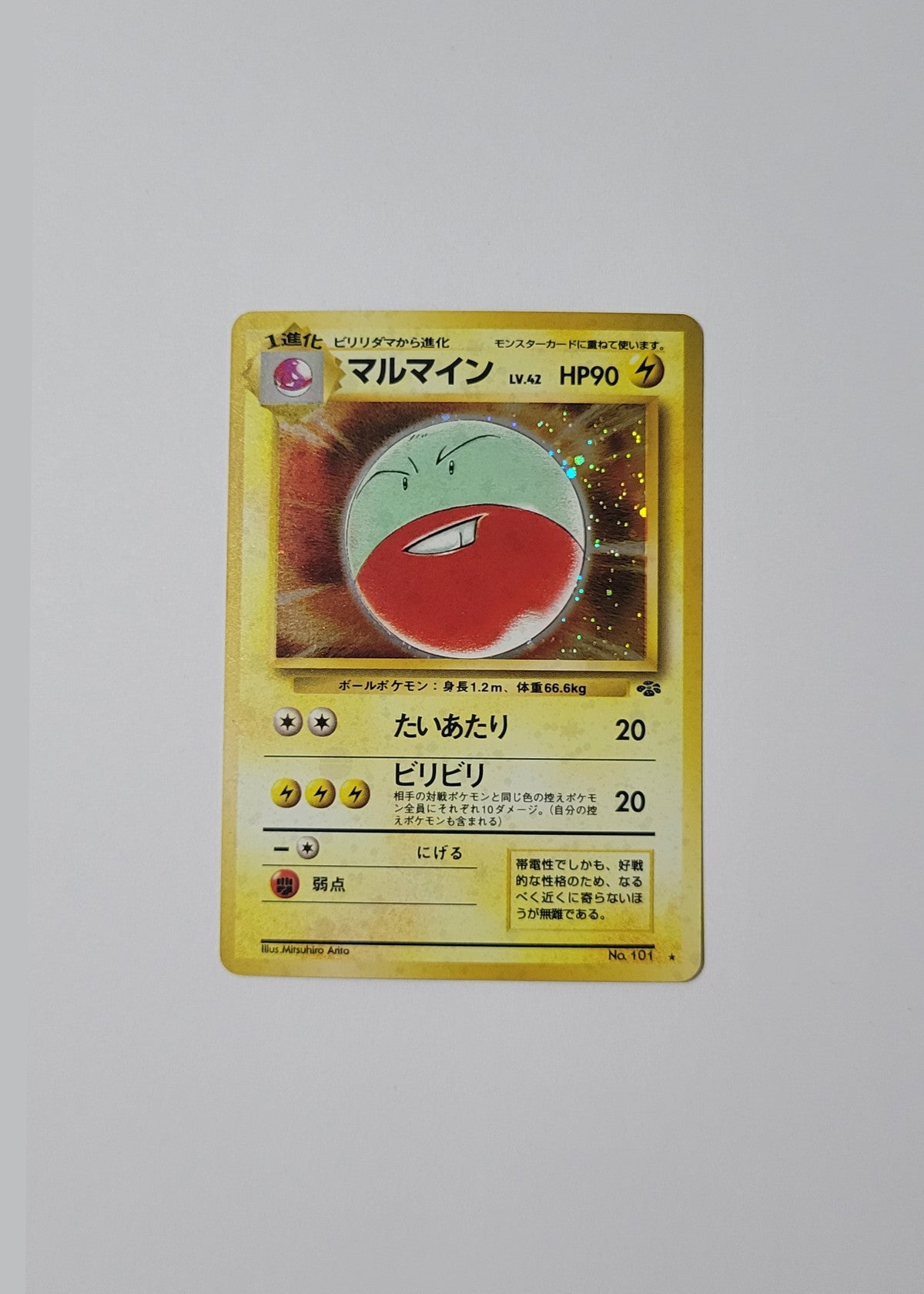 Electrode No. 101 - Jungle (Japanese)