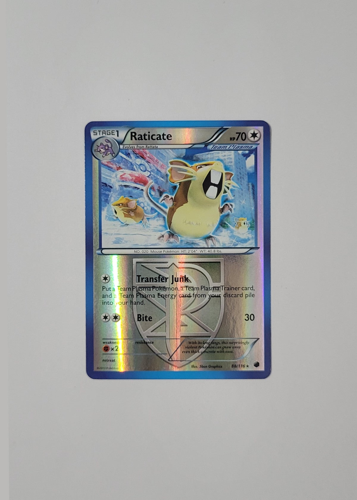 Raticate 88/116 (Reverse Holo) - Plasma Freeze