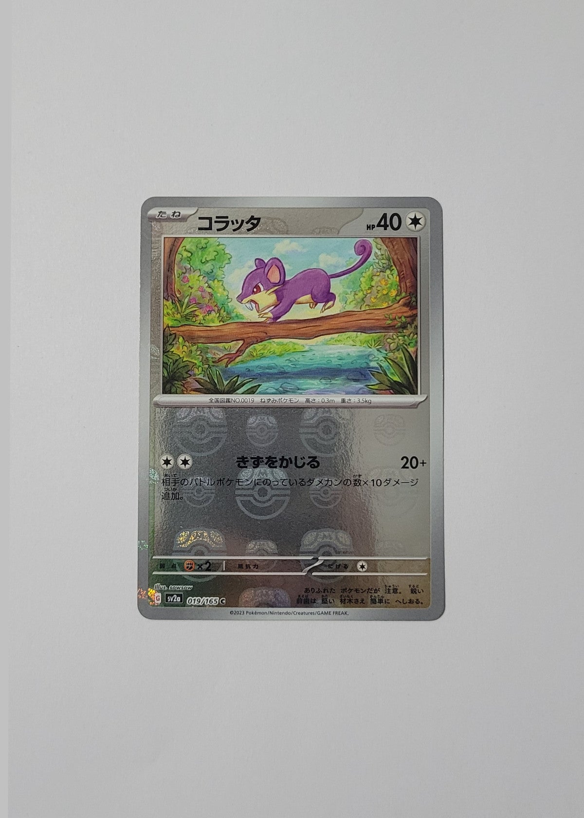 Rattata 019/165 (Master Ball) - 151 (Japanese)