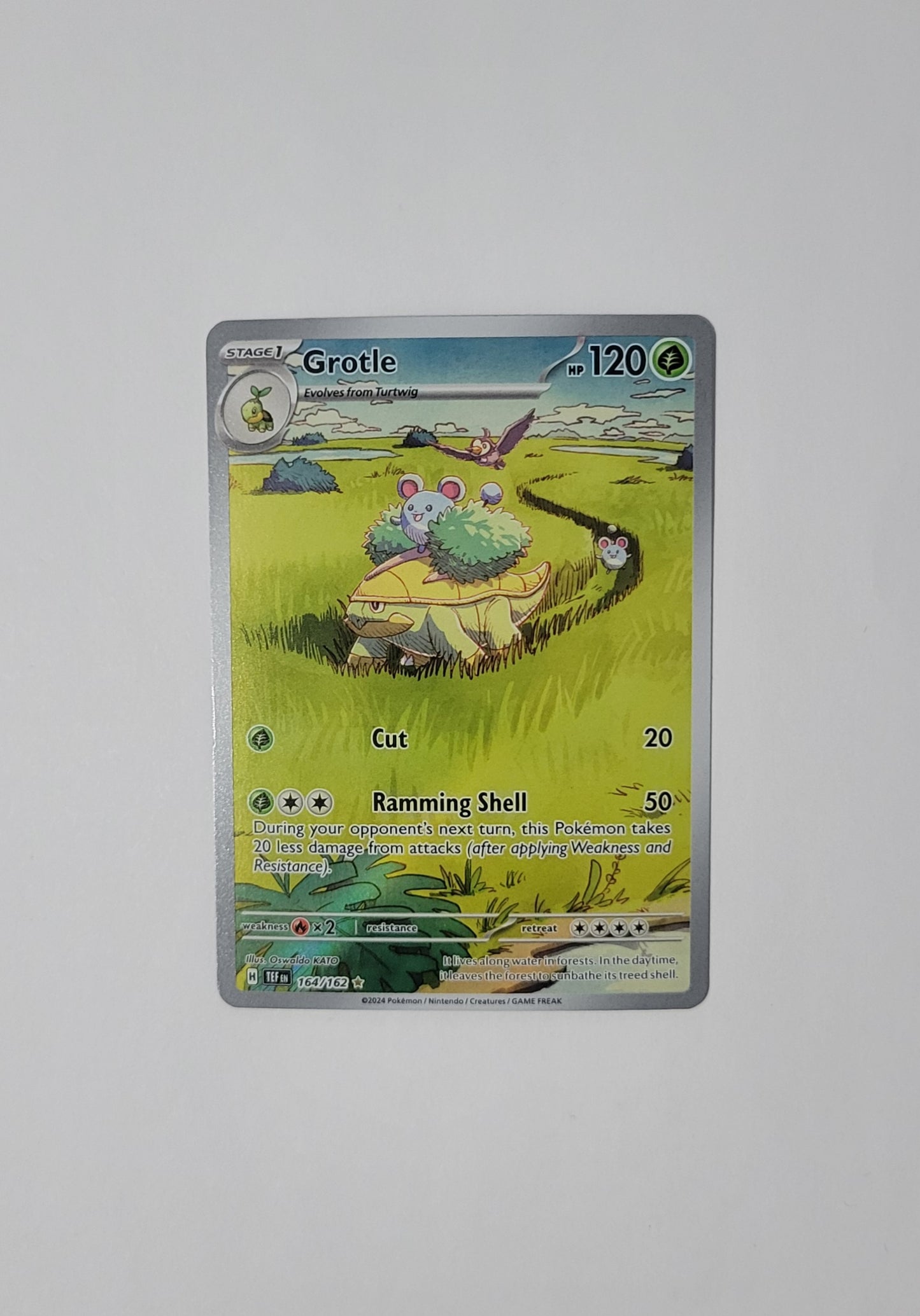 Grotle 164/162 - Temporal Forces
