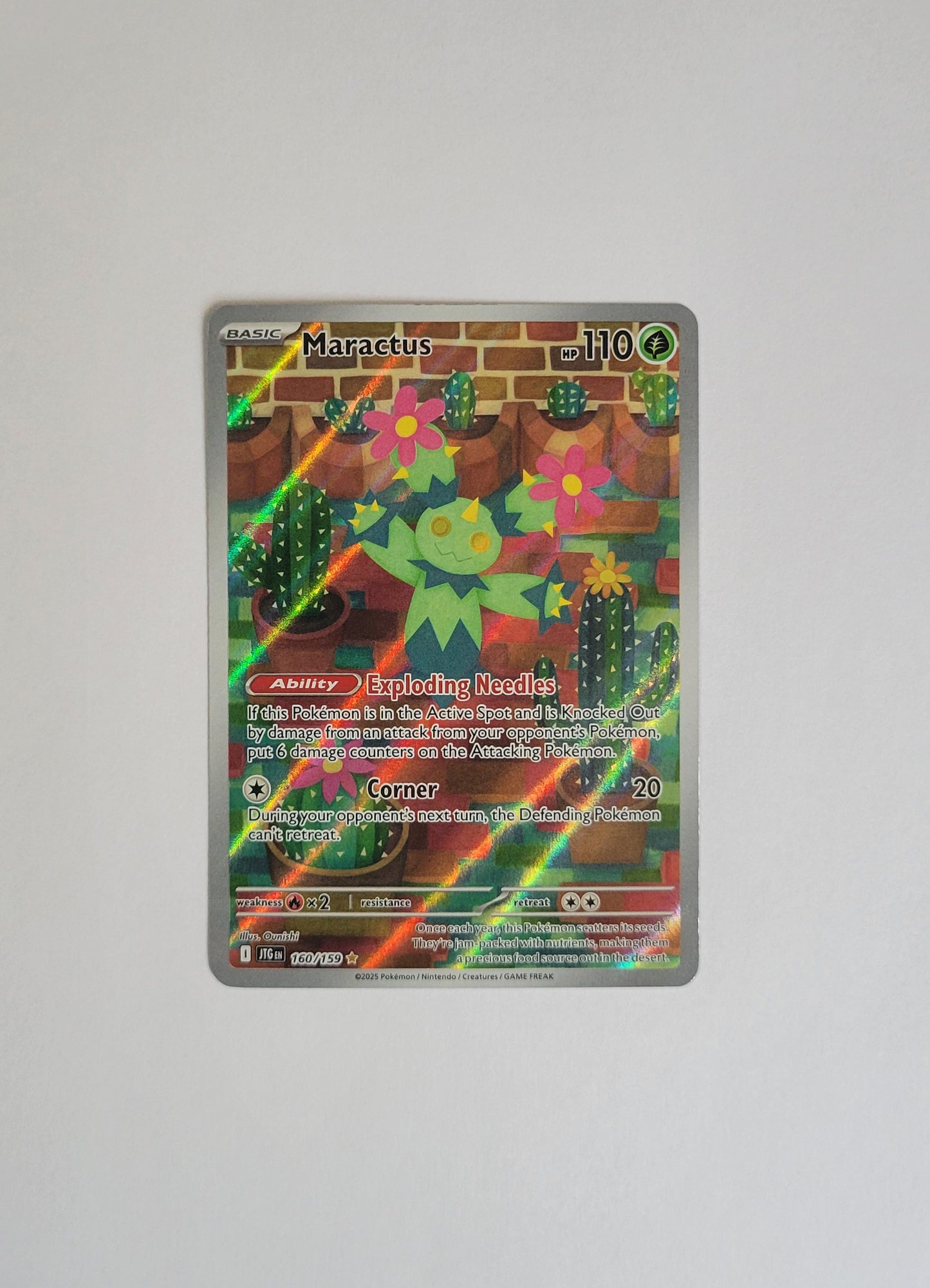 Maractus 160/159 - Journey Together