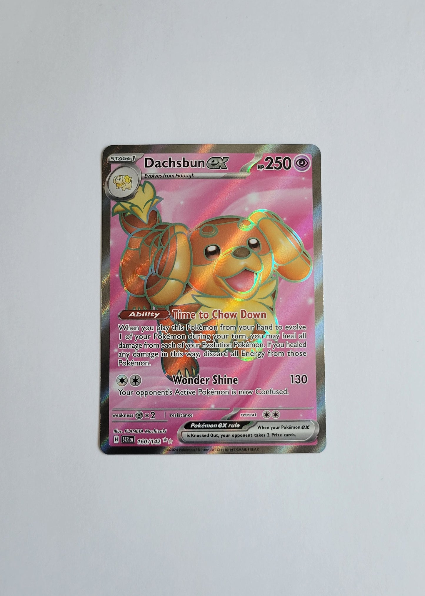 Dachsbun ex 160/142 - Stellar Crown