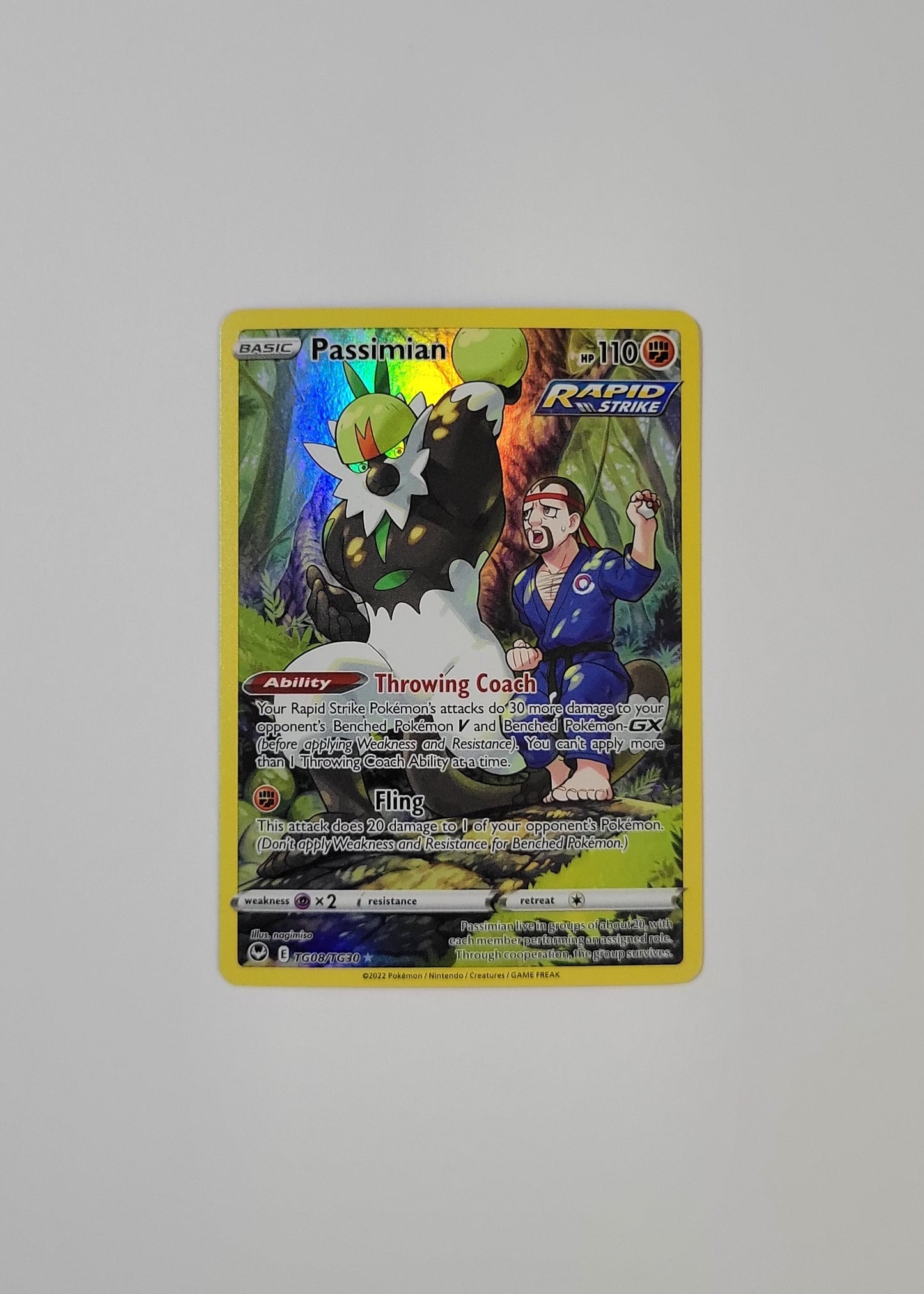 Passimian TG08/TG30 - Silver Tempest: Trainer Gallery