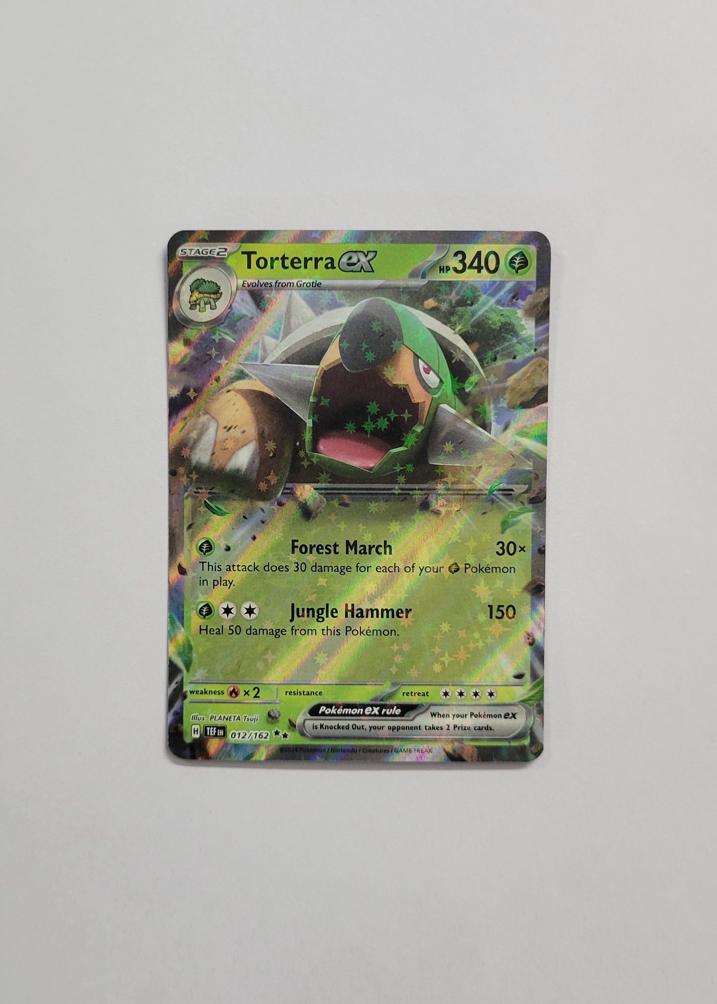 Torterra ex 012/162 - Temporal Forces