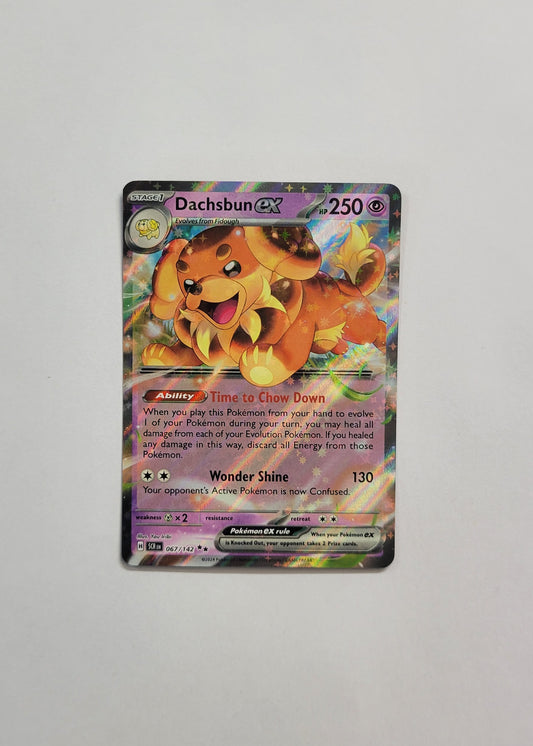 Dachsbun ex 067/142 - Stellar Crown