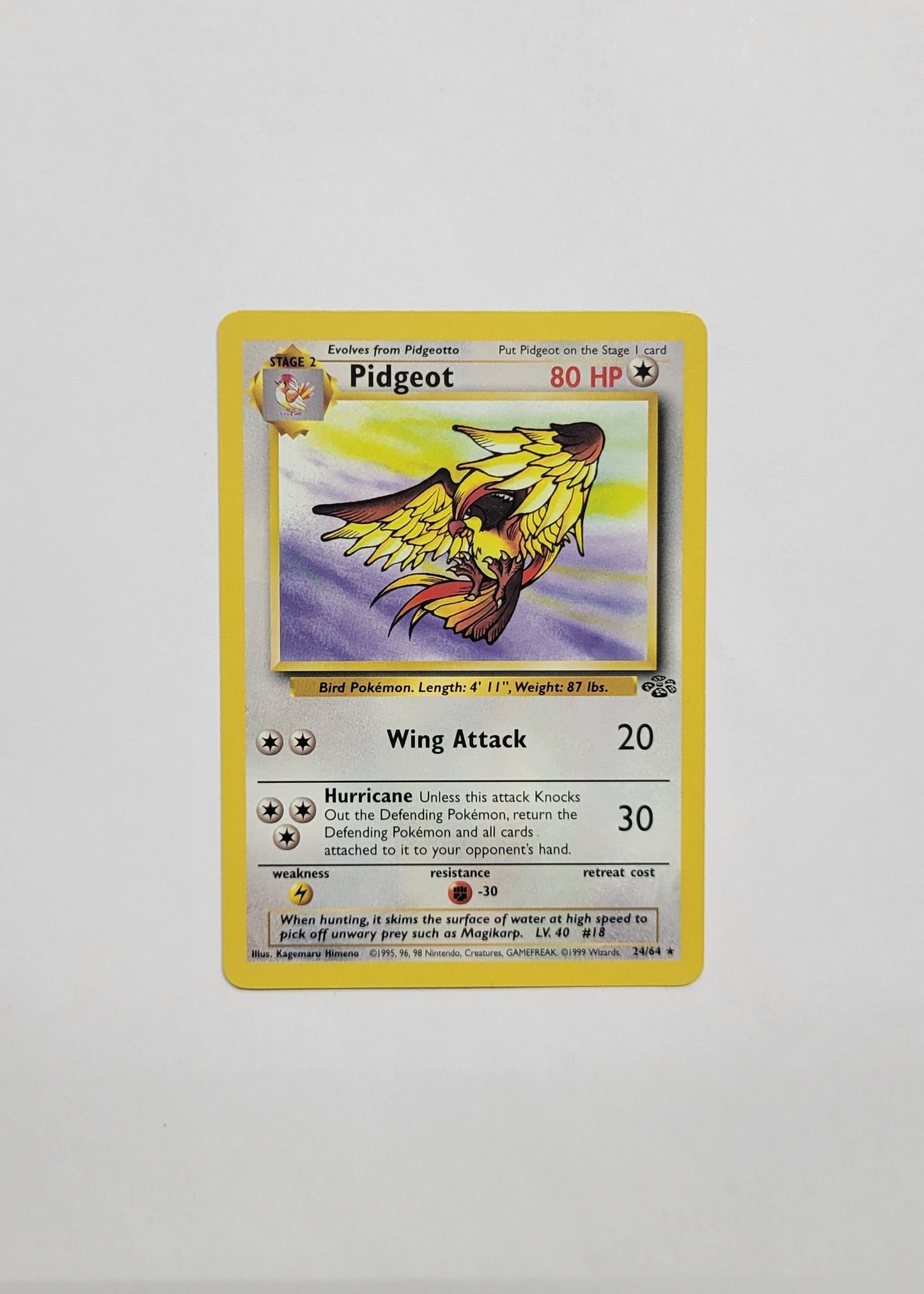 Pidgeot 24/64 (Non-Holo) - Jungle