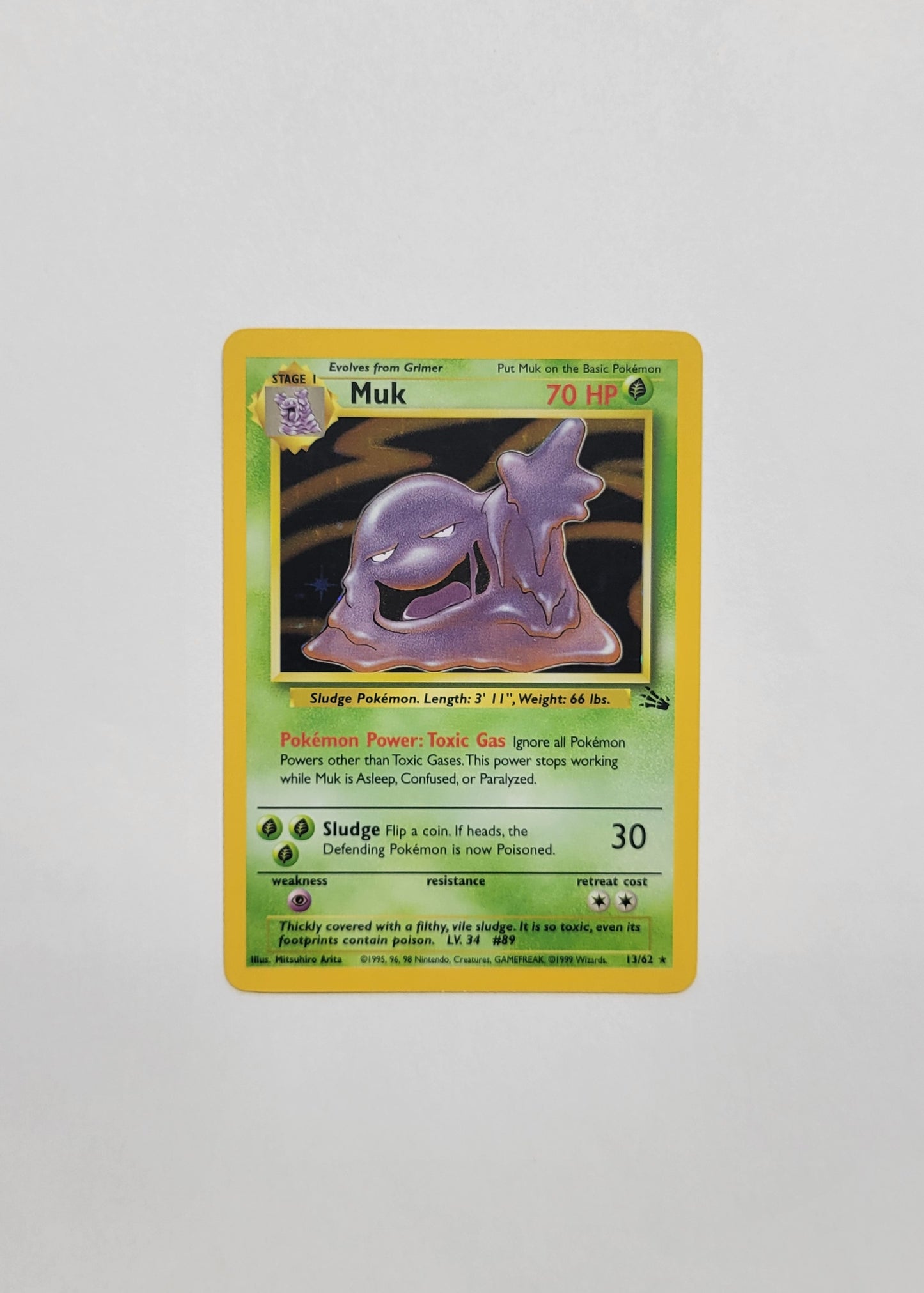 Muk 13/62 (Holo) - Fossil