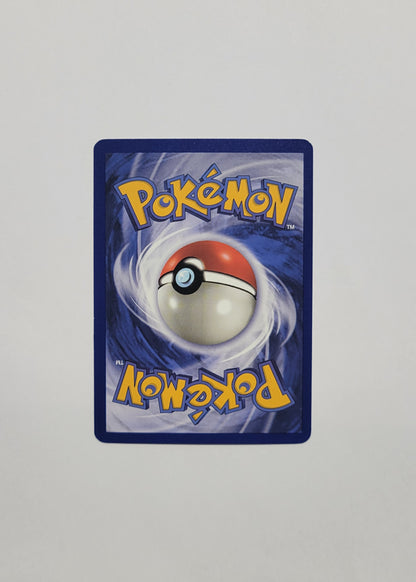 Muk 13/62 (Holo) - Fossil