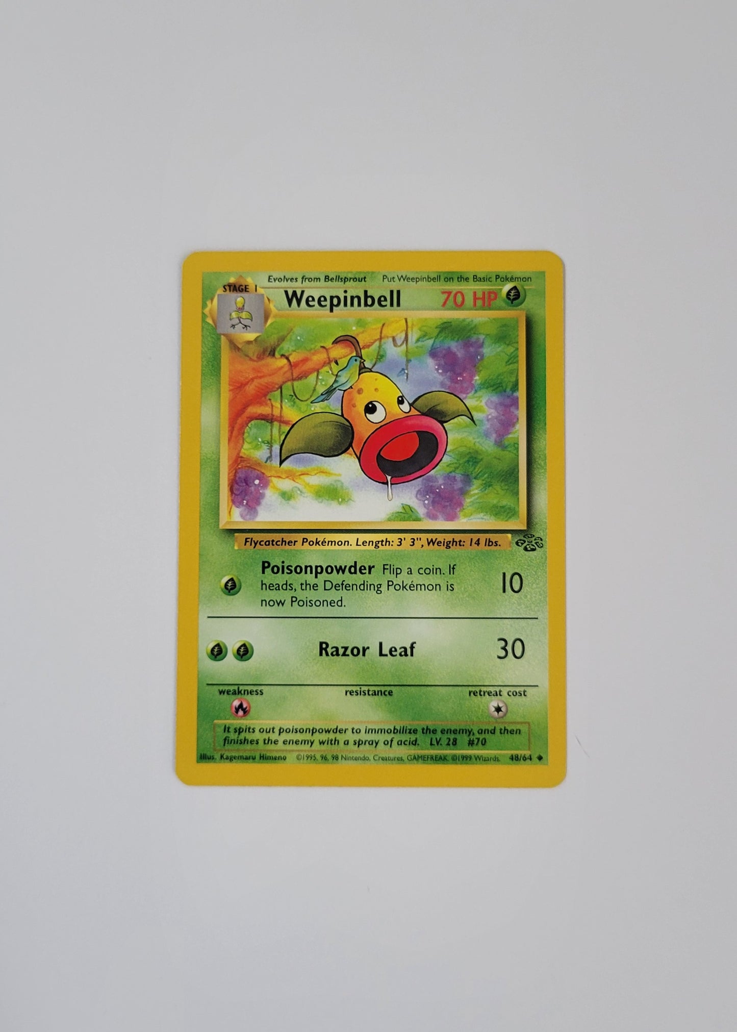 Weepinbell 48/64 - Jungle