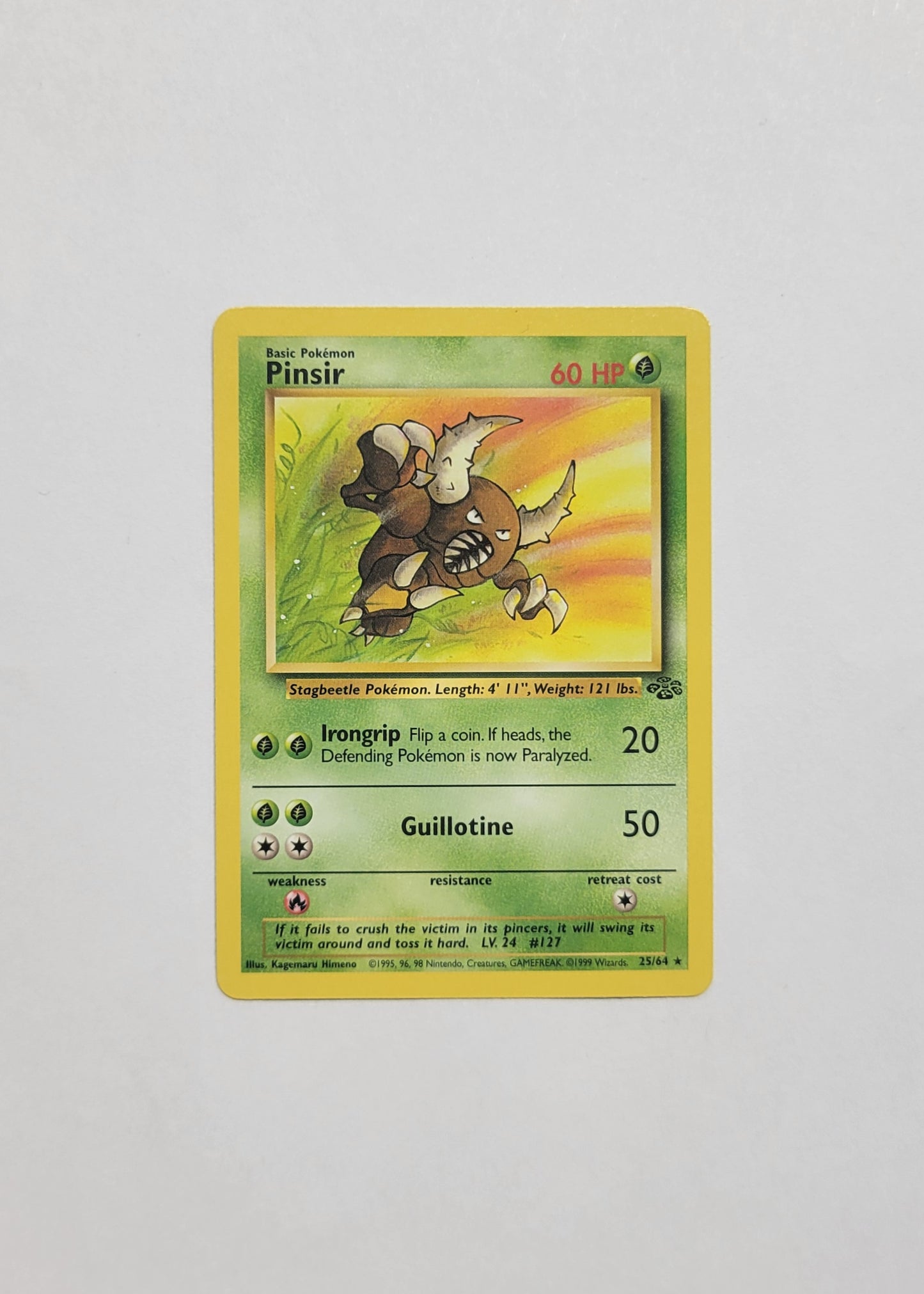Pinsir 25/64 - Jungle
