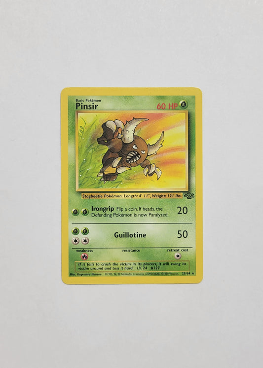 Pinsir 25/64 - Jungle