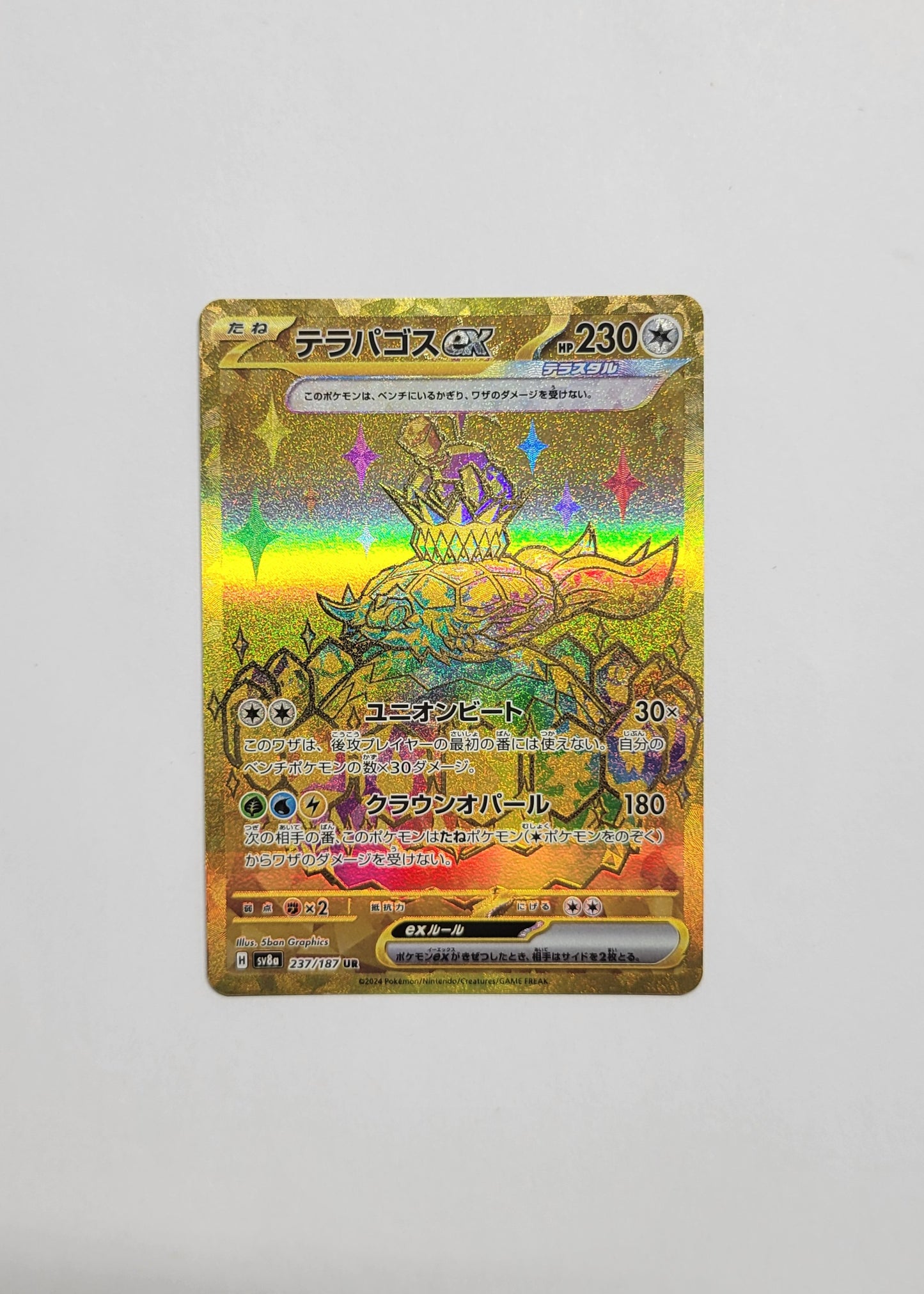 Terapagos ex 237/187 - Terastal Festival ex (Japanese)