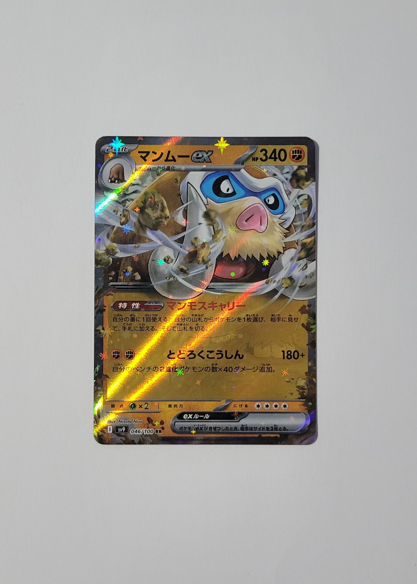 Mamoswine ex 046/100 - Battle Partners (Japanese)