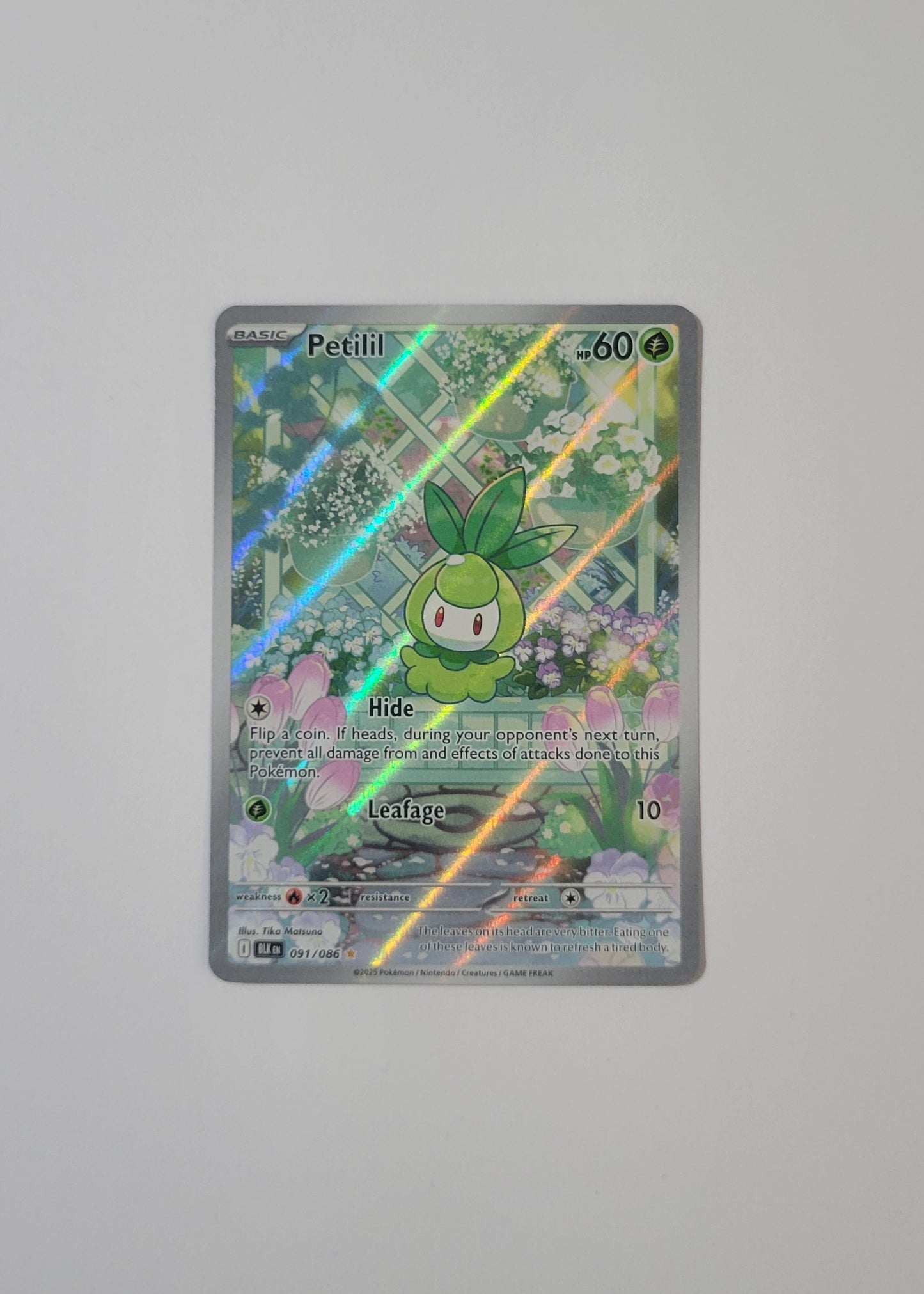 Petilil 091/086 - Black Bolt