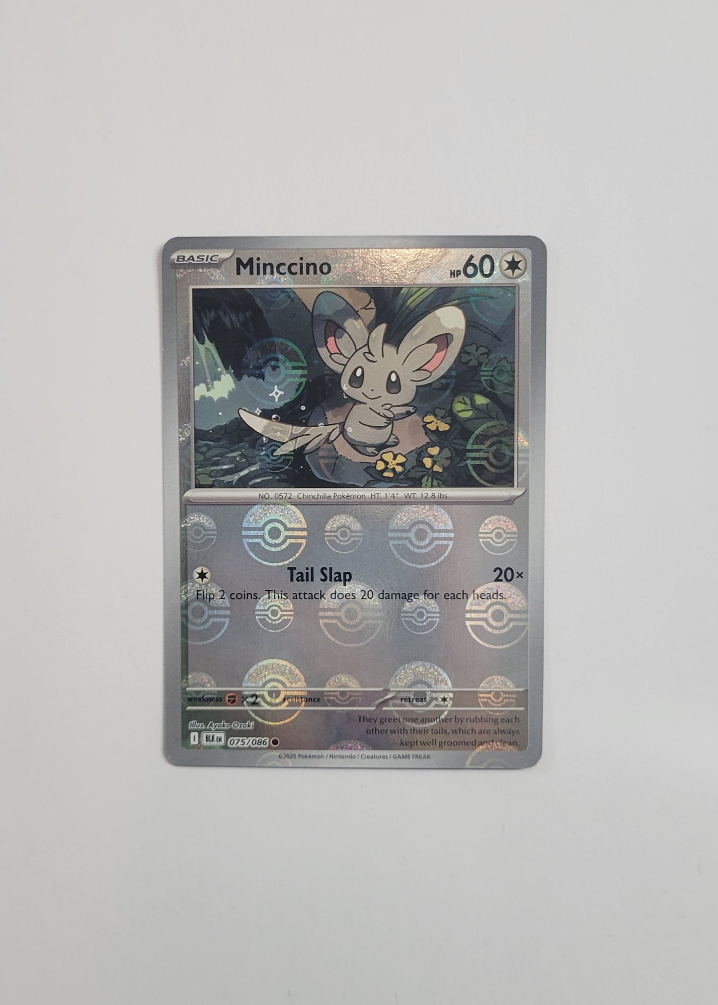 Minccino 075/086 (Poké Ball) - Black Bolt