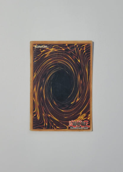 Rainbow Dragon TAEV-EN006 - Tactical Evolution