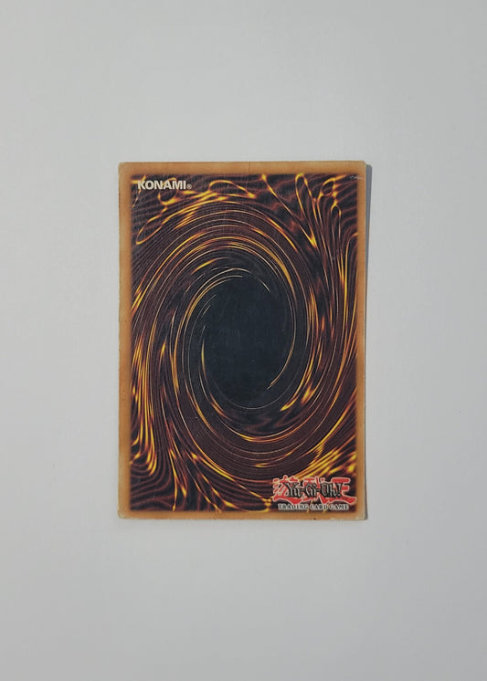 Rainbow Dragon TAEV-EN006 - Tactical Evolution