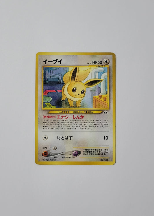 Eevee No. 133 - Crossing the Ruins (Japanese)