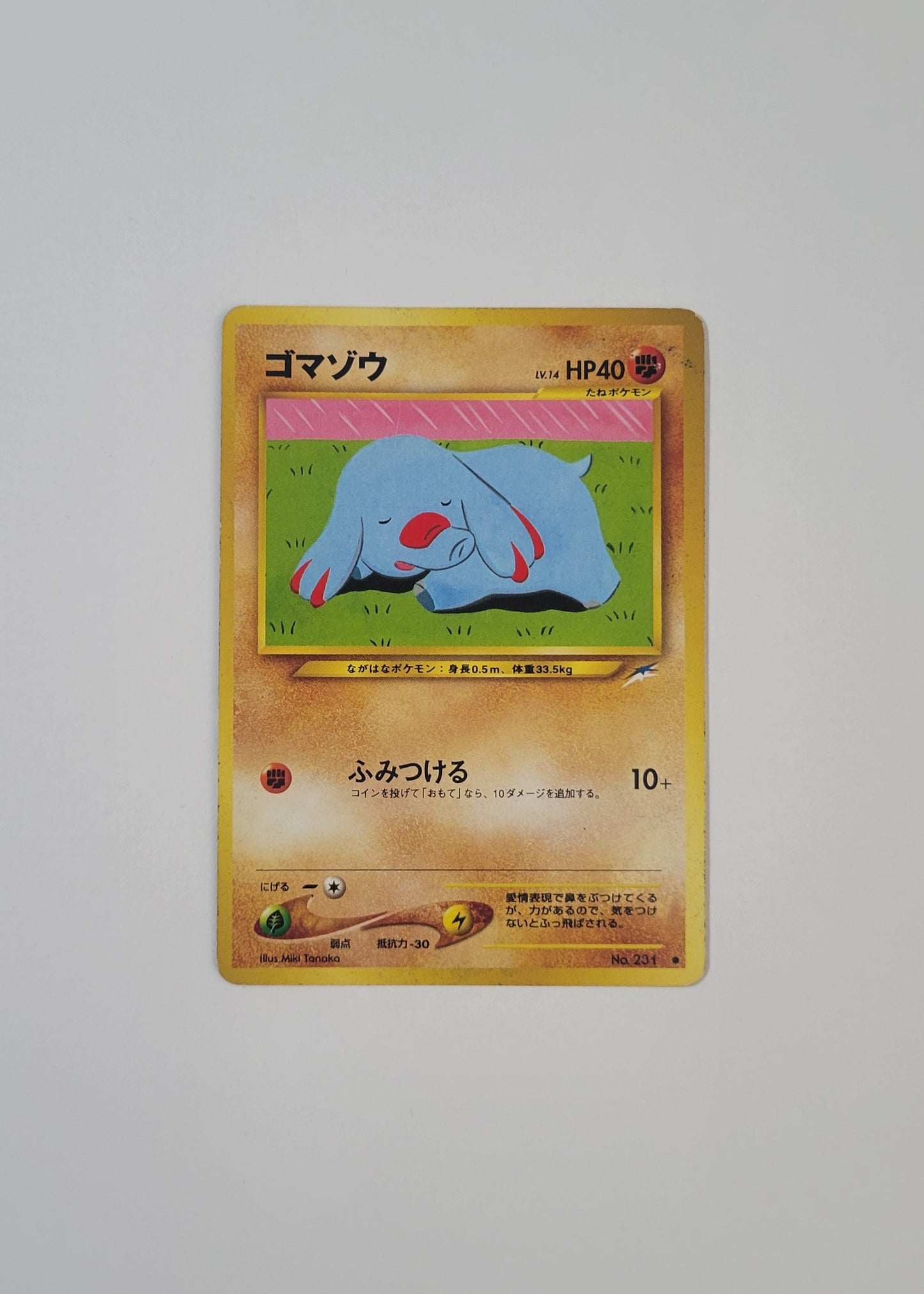 Phanpy No. 231 - Darkness, and to Light... (Japanese)