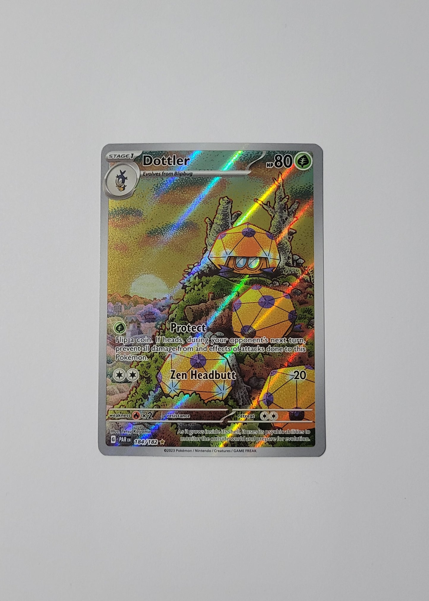 Dottler 184/182 - Paradox Rift