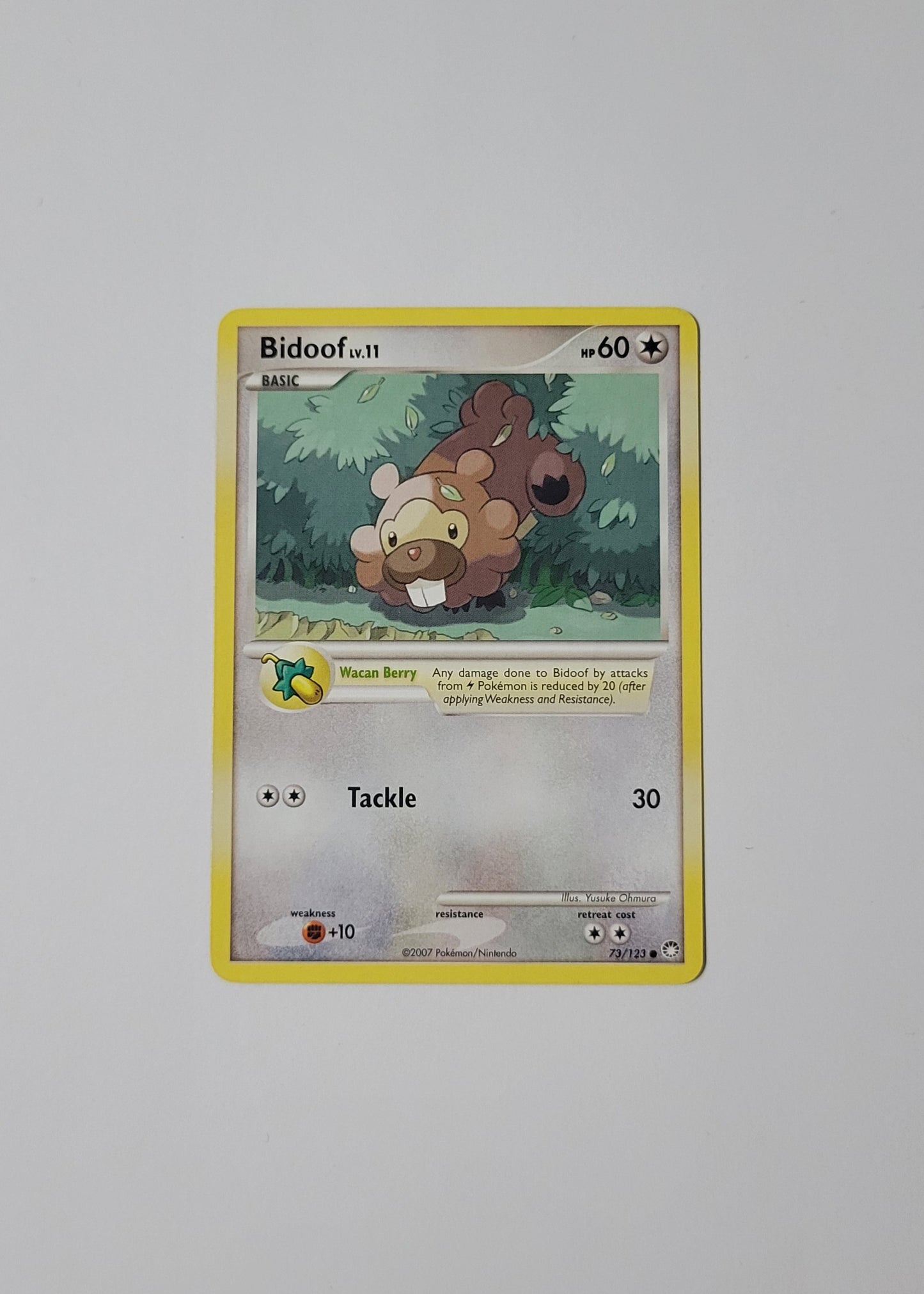 Bidoof 73/123 - Mysterious Treasures